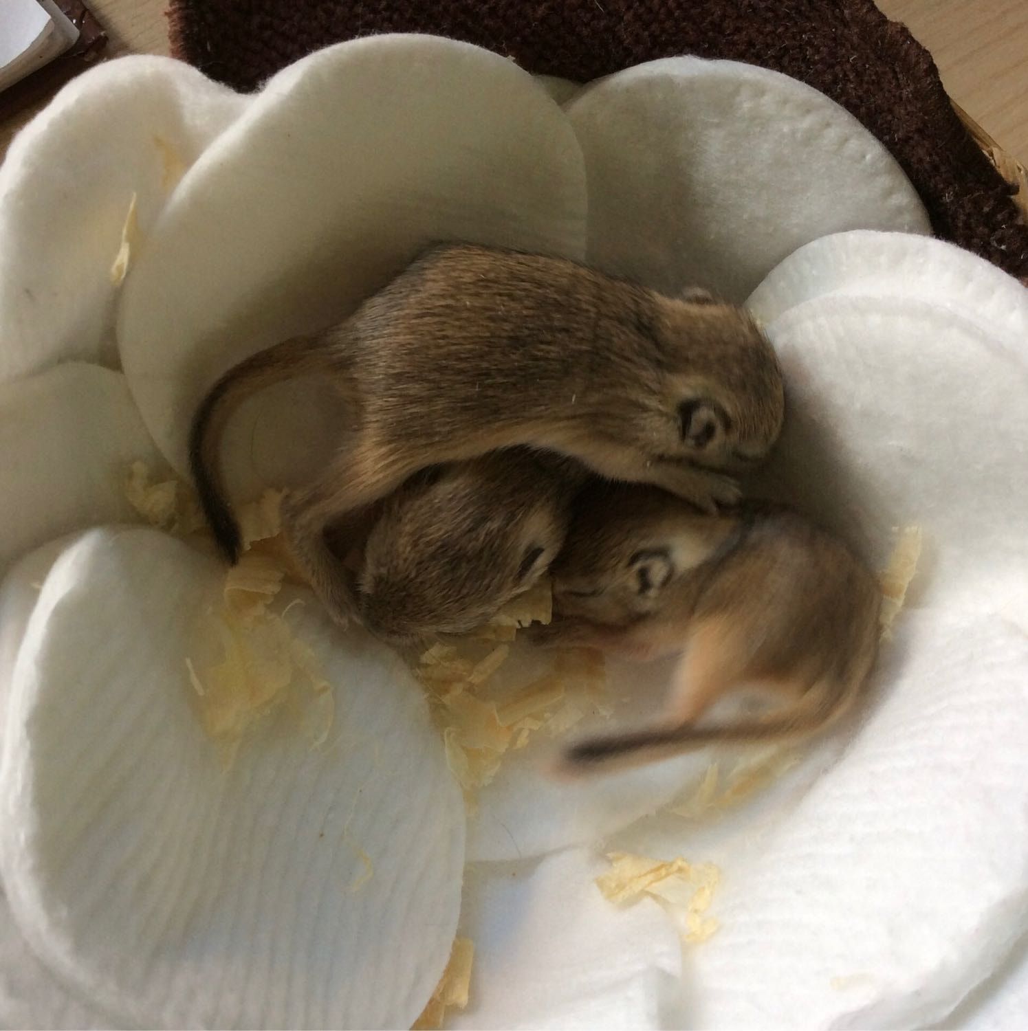 image-6