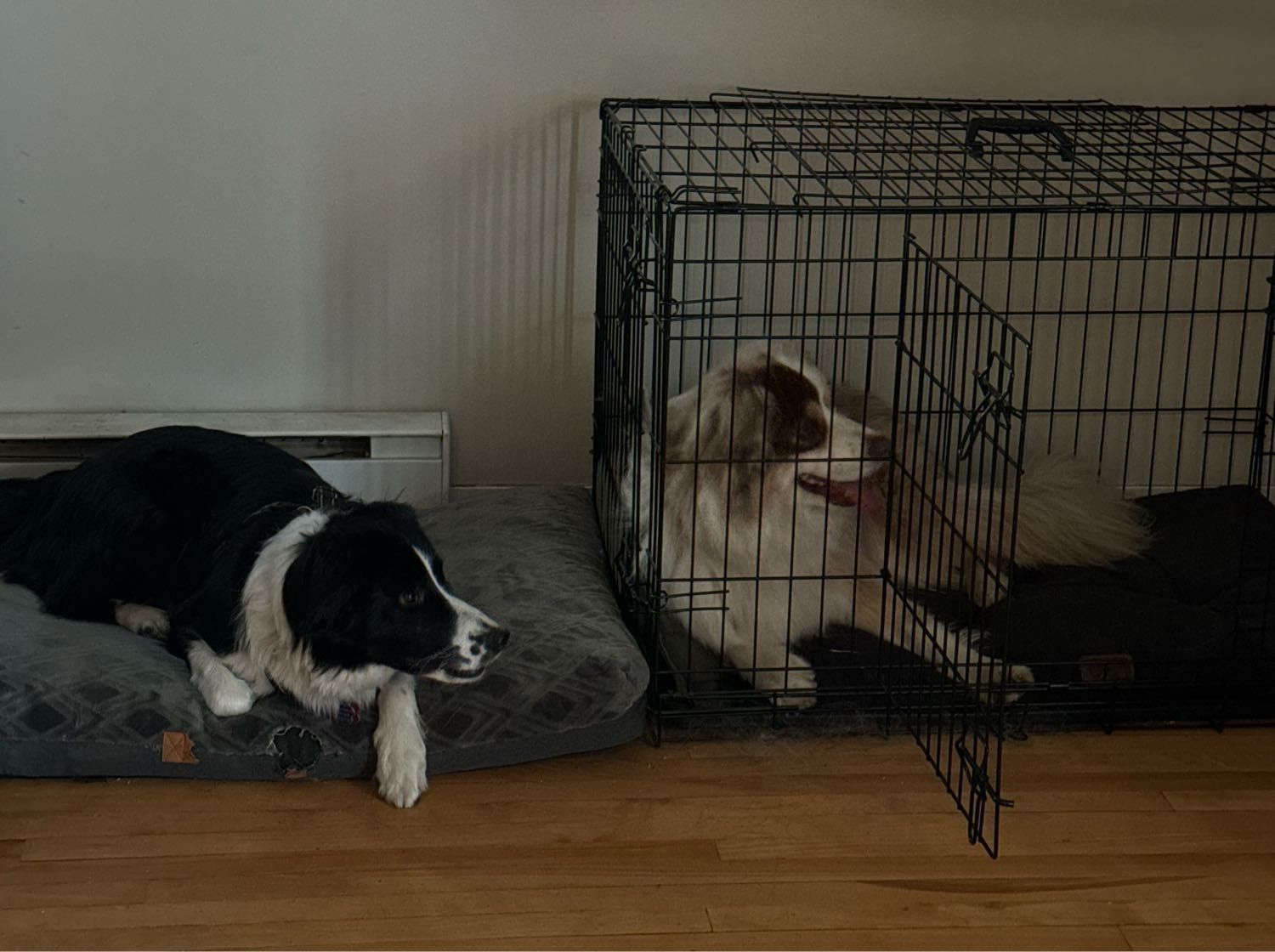 image-17