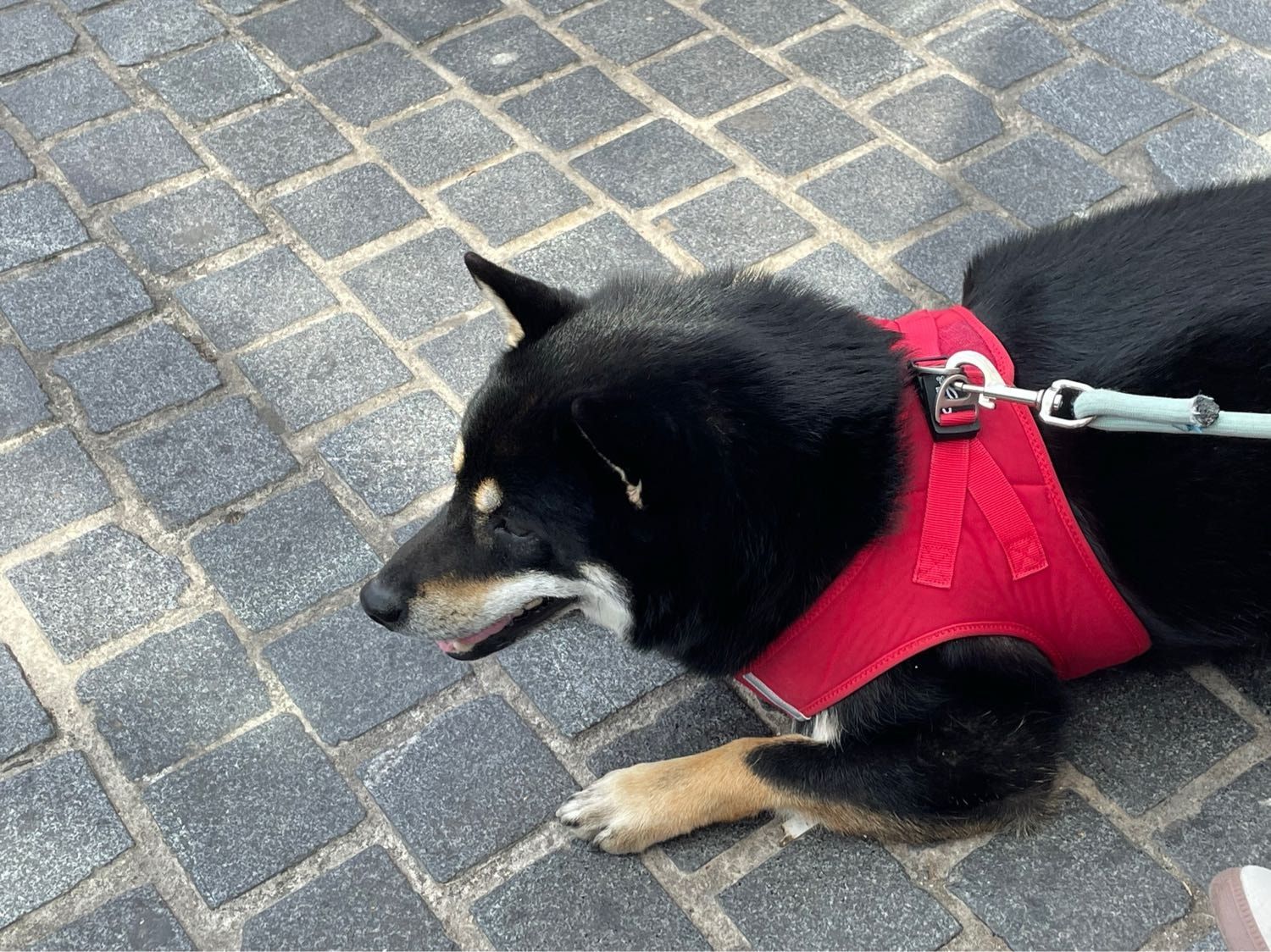 image-15
