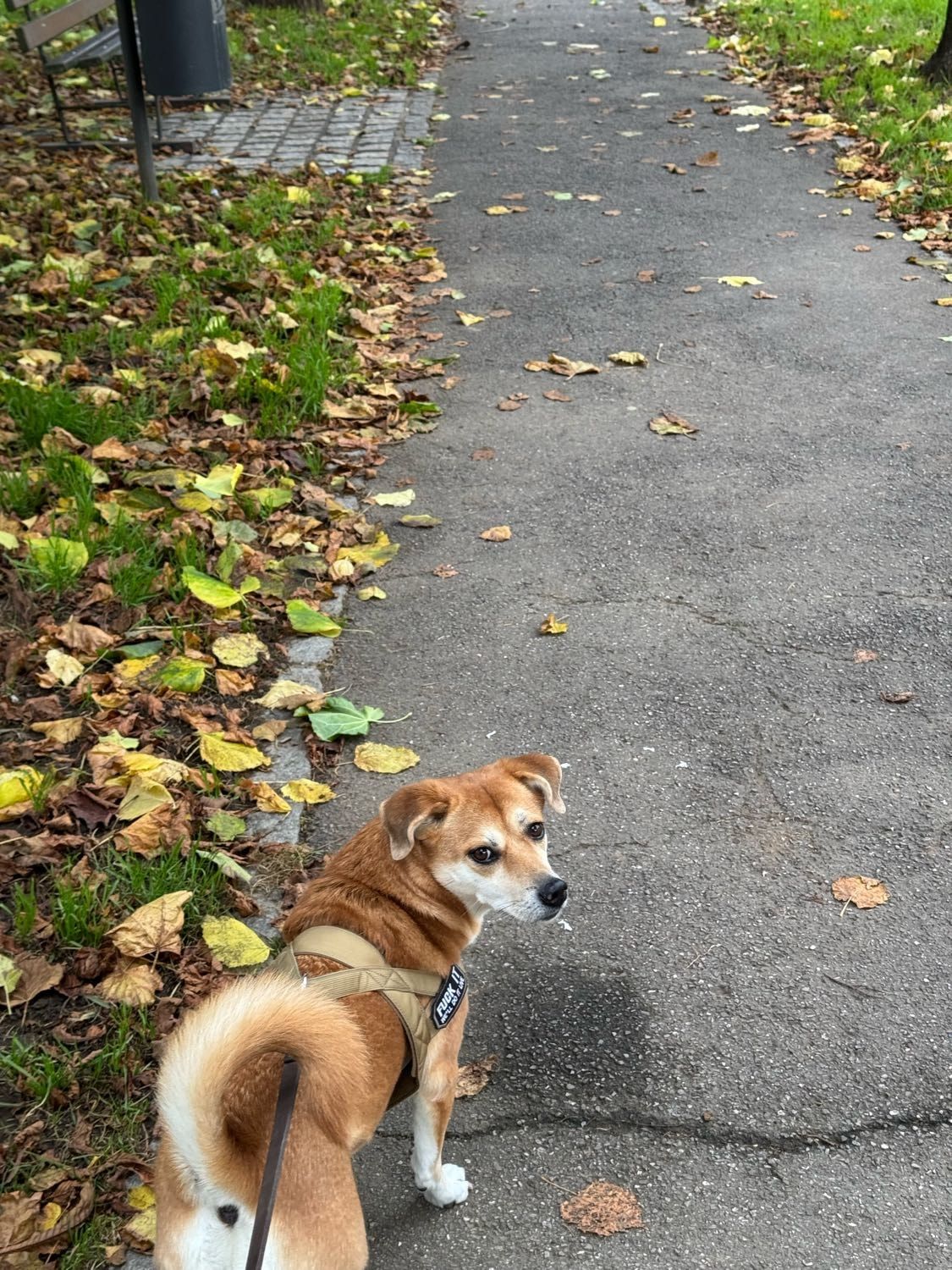 image-11