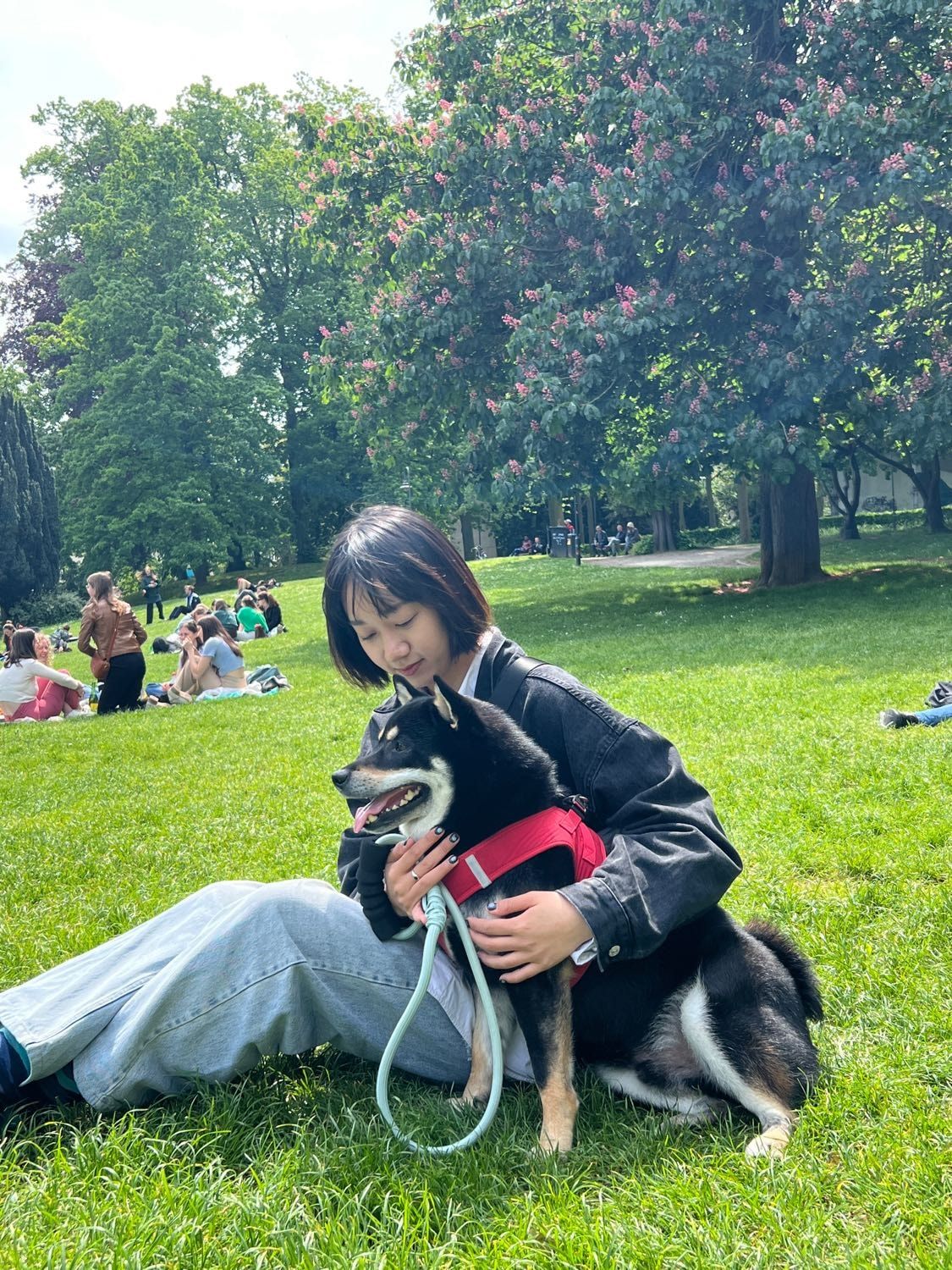 image-5
