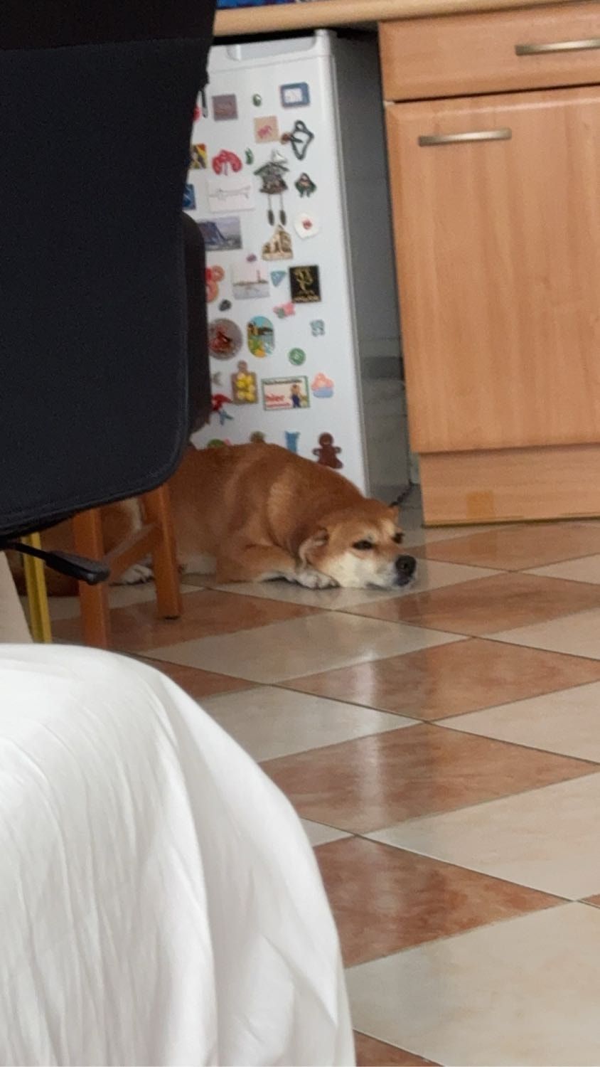 image-17
