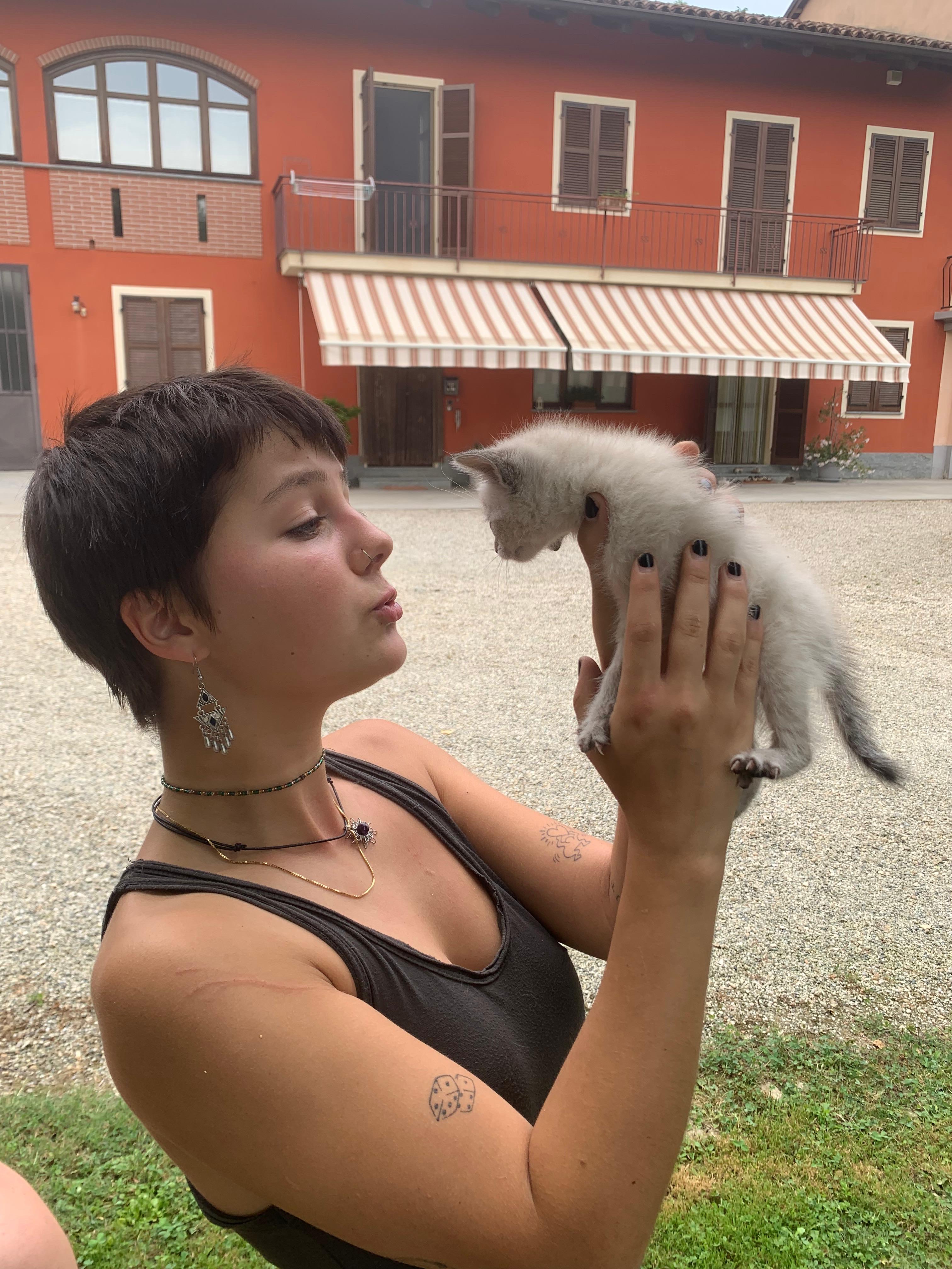 image-6