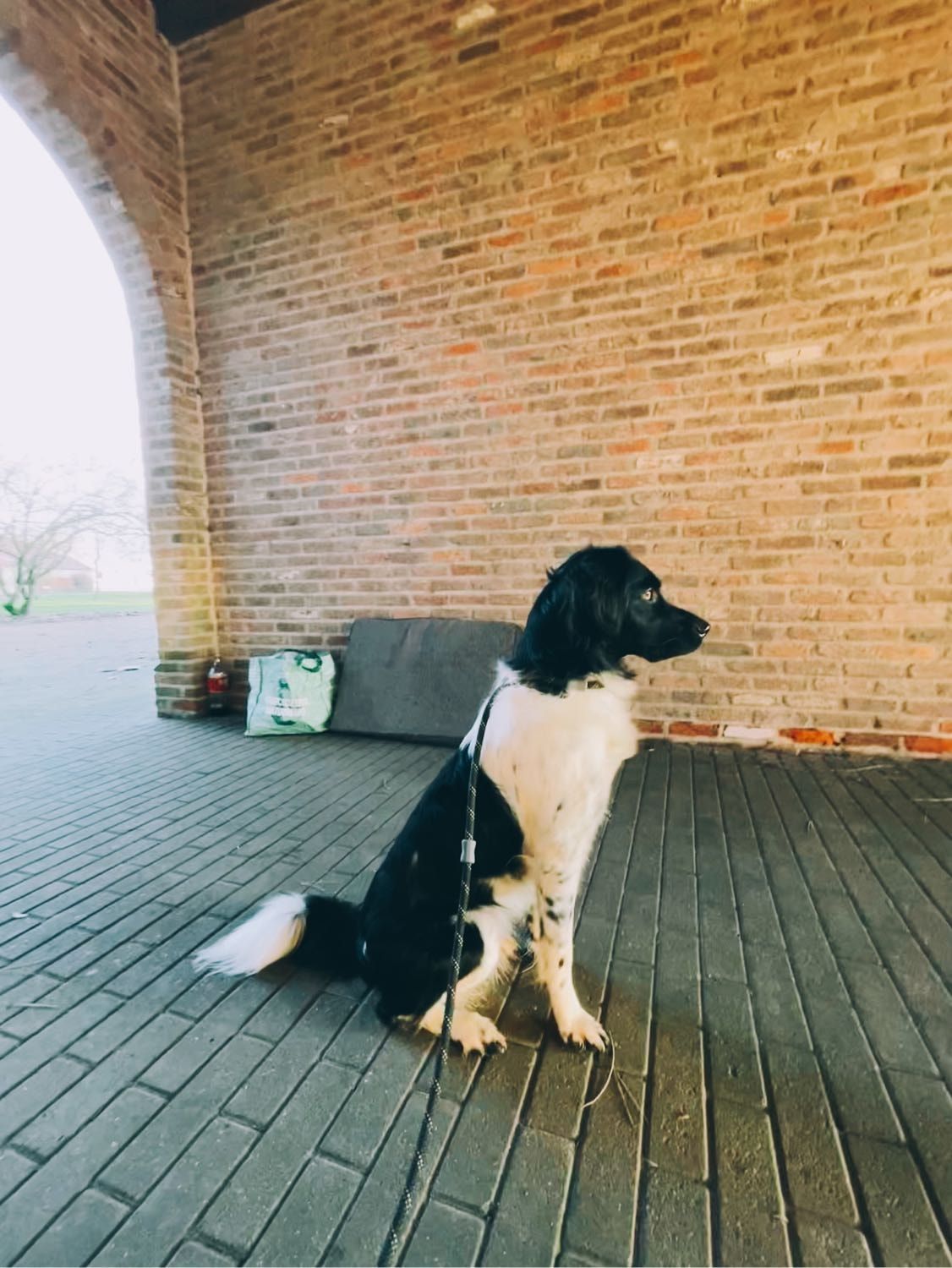 image-12