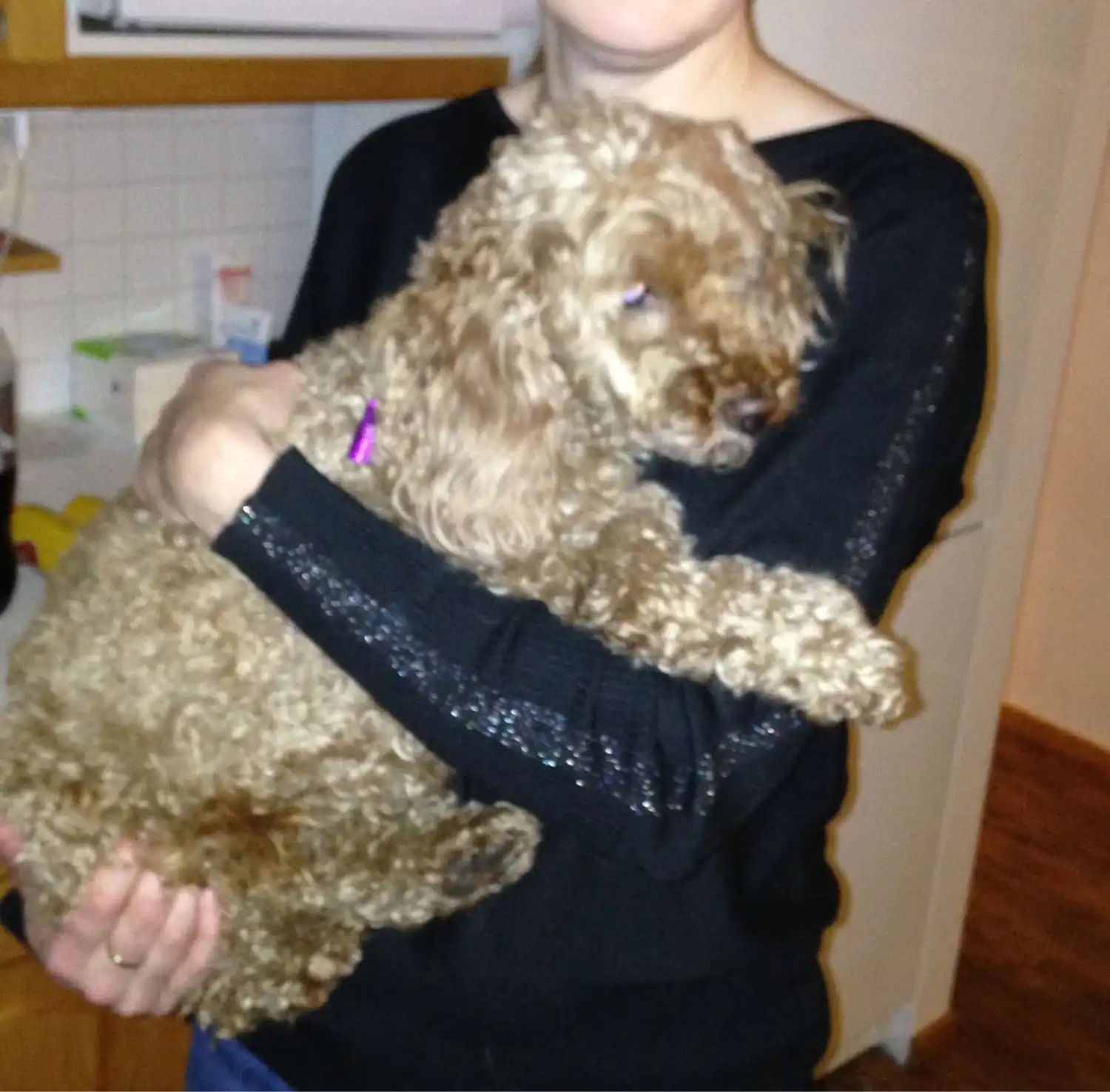 image-9
