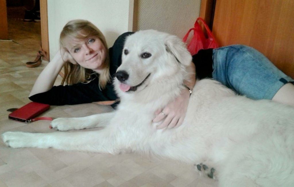 image-7