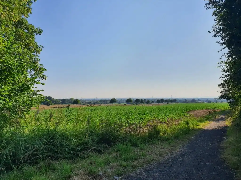 image-24