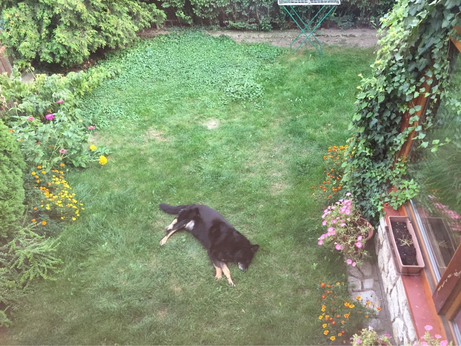 image-3
