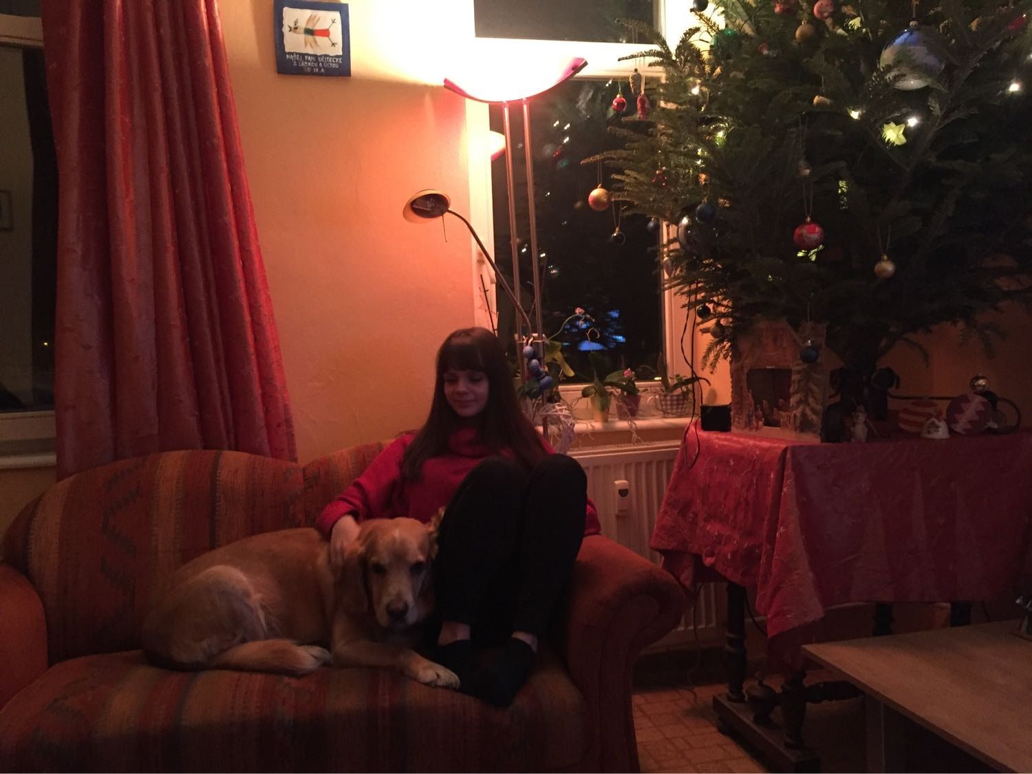 image-7
