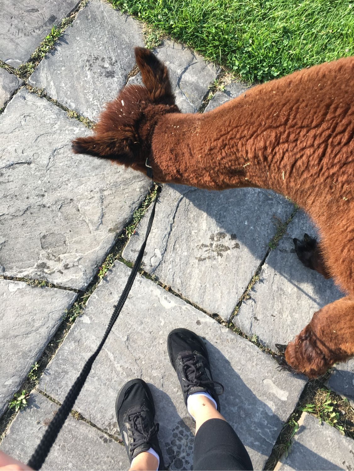 image-9