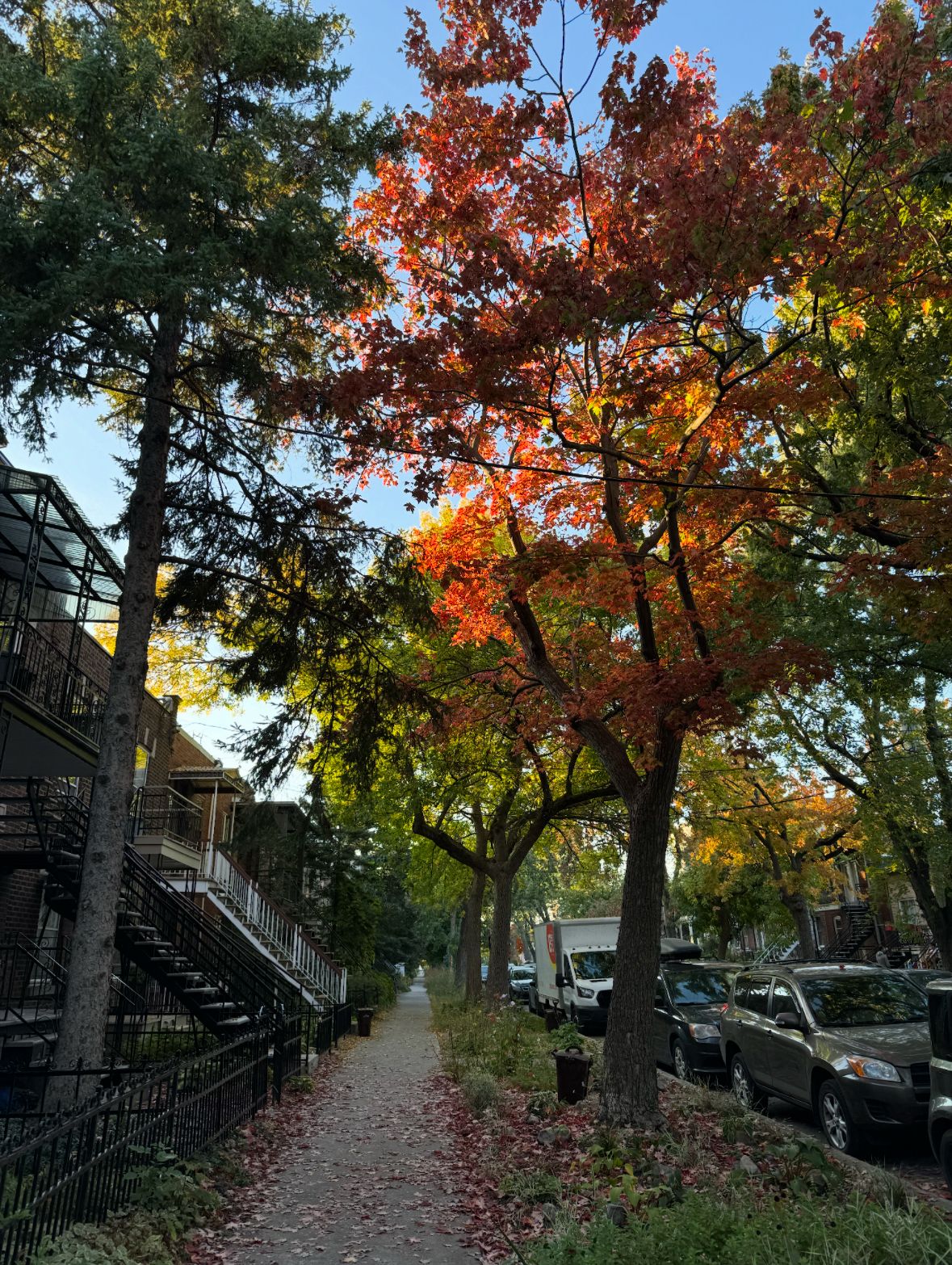 image-18
