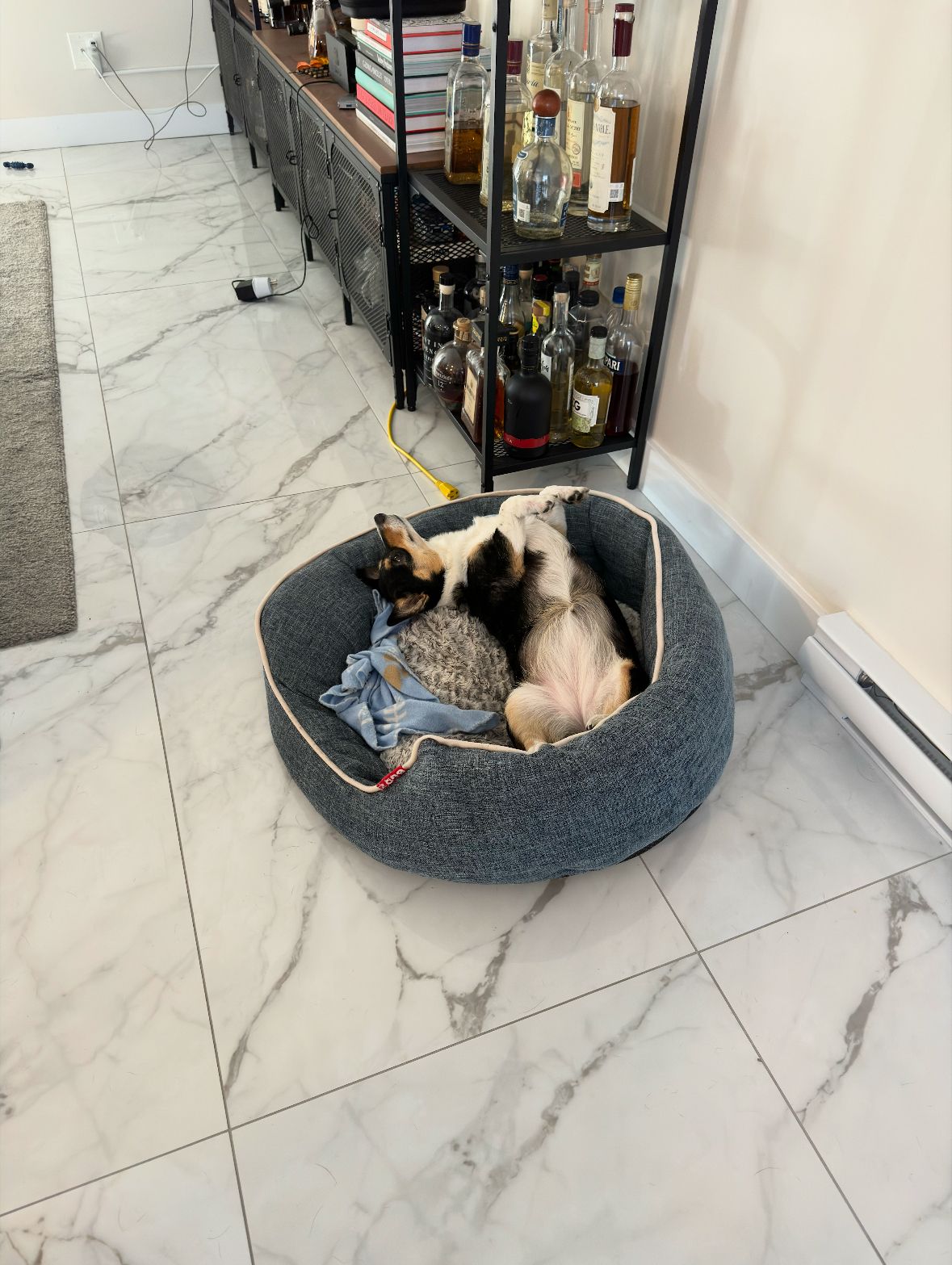 image-15