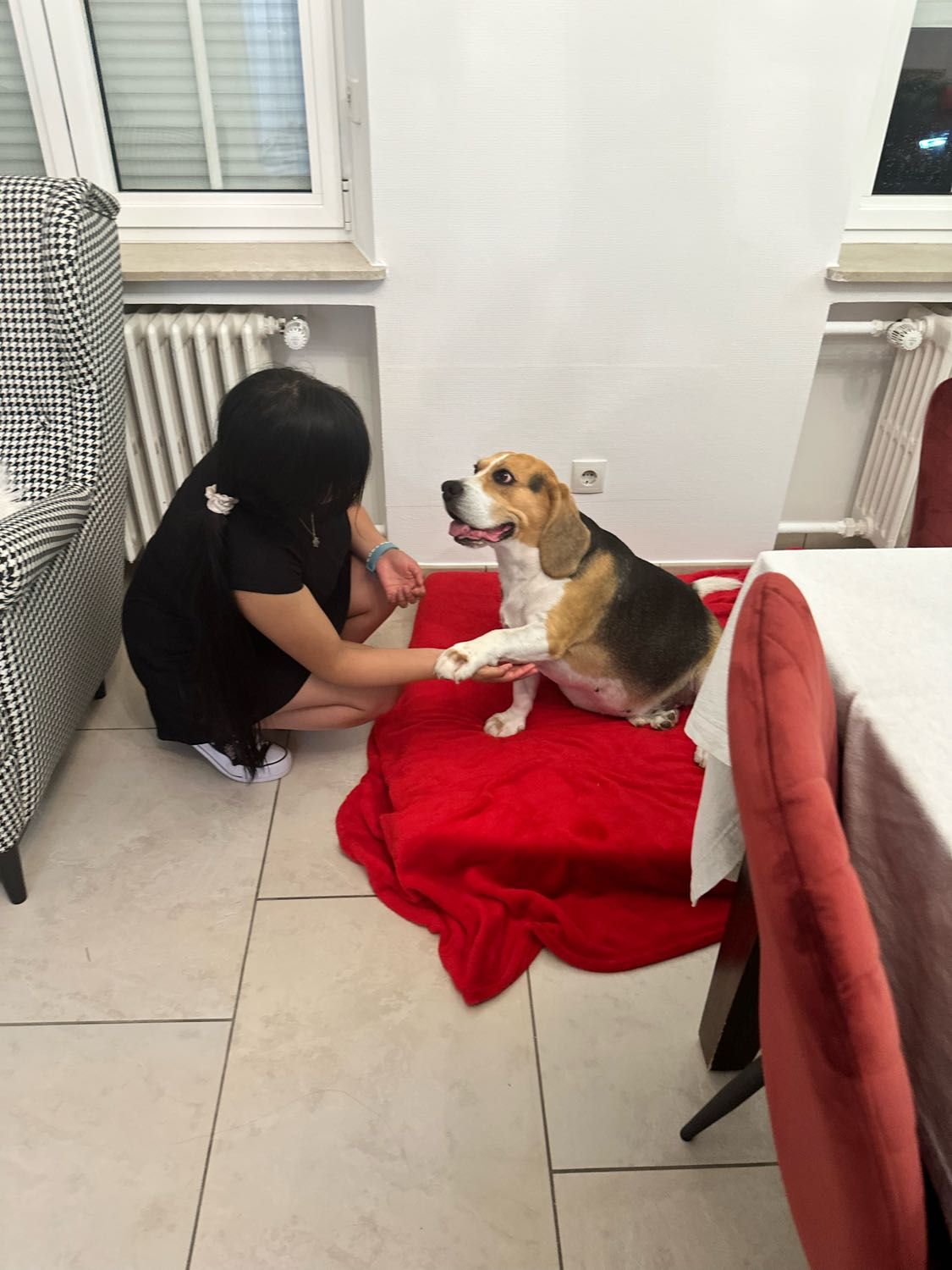 image-19