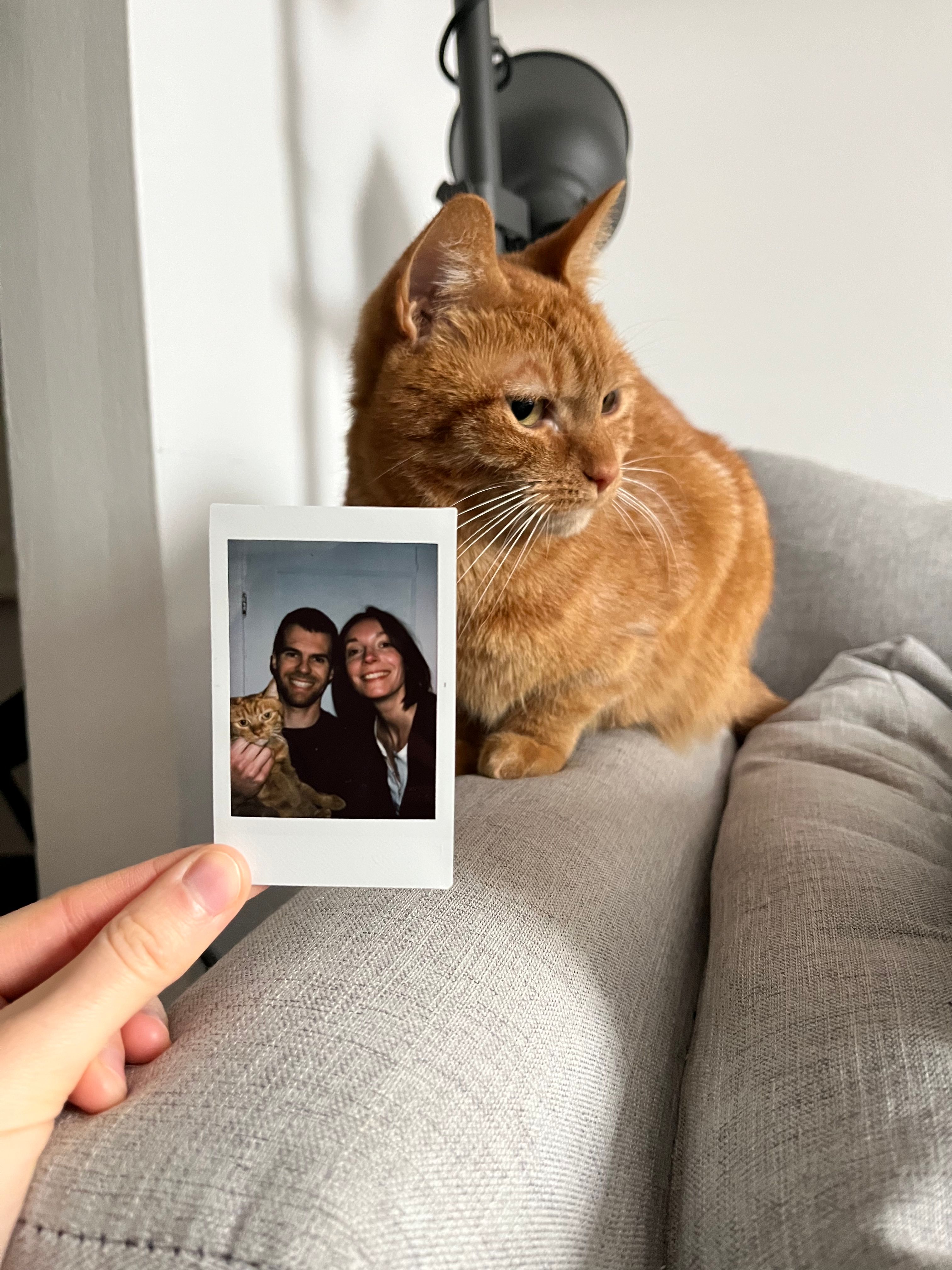 image-10