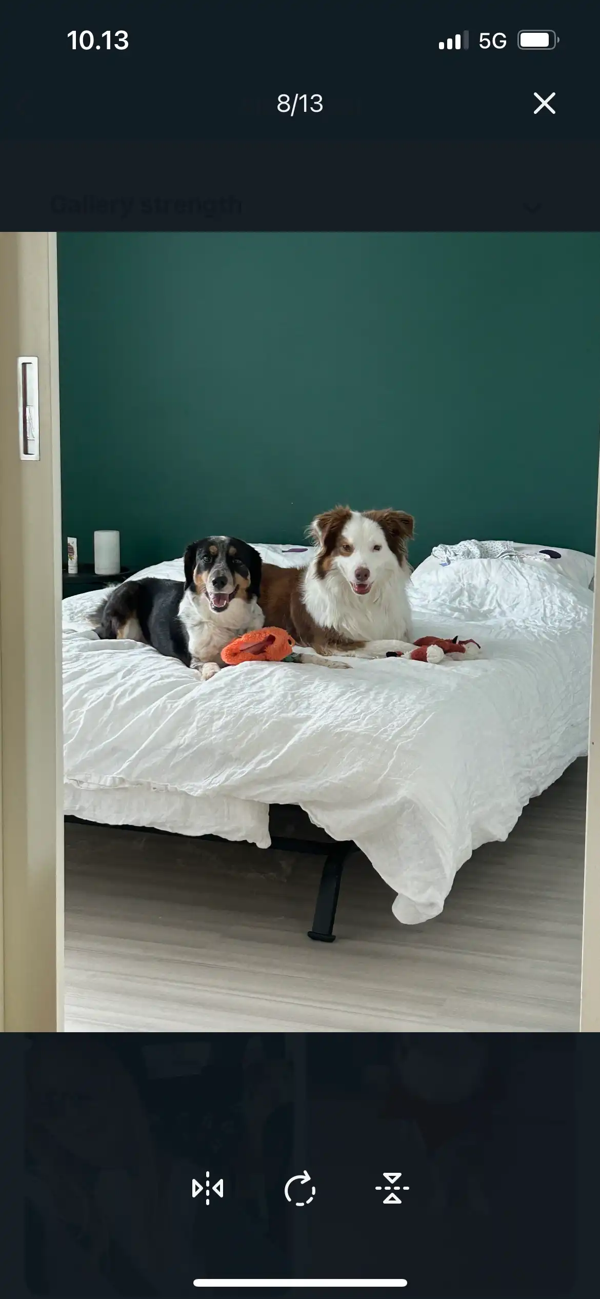 image-14
