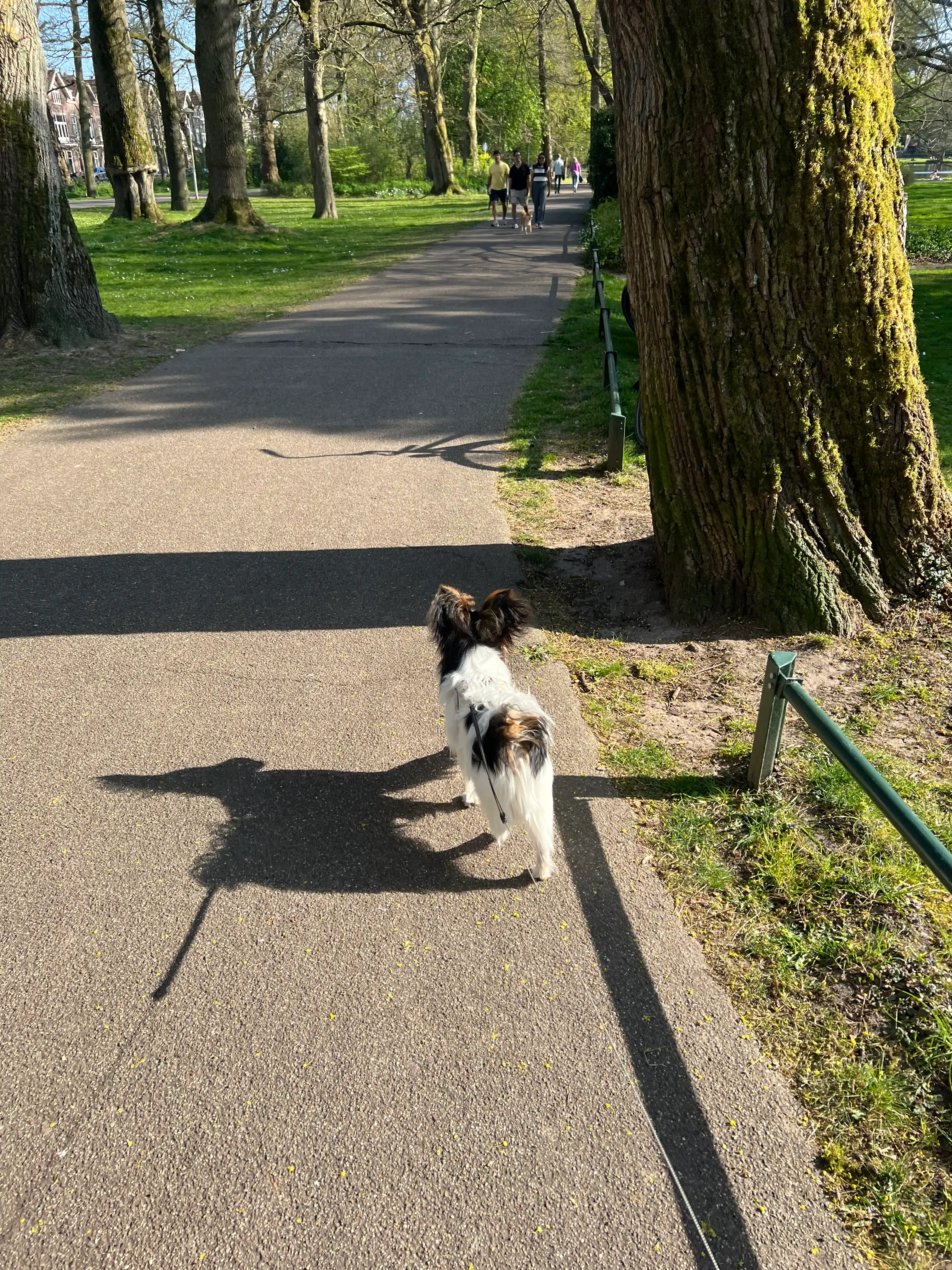 image-14
