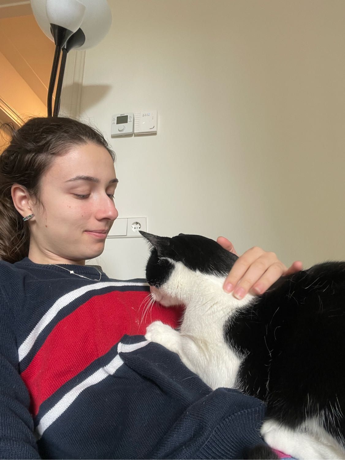 image-6