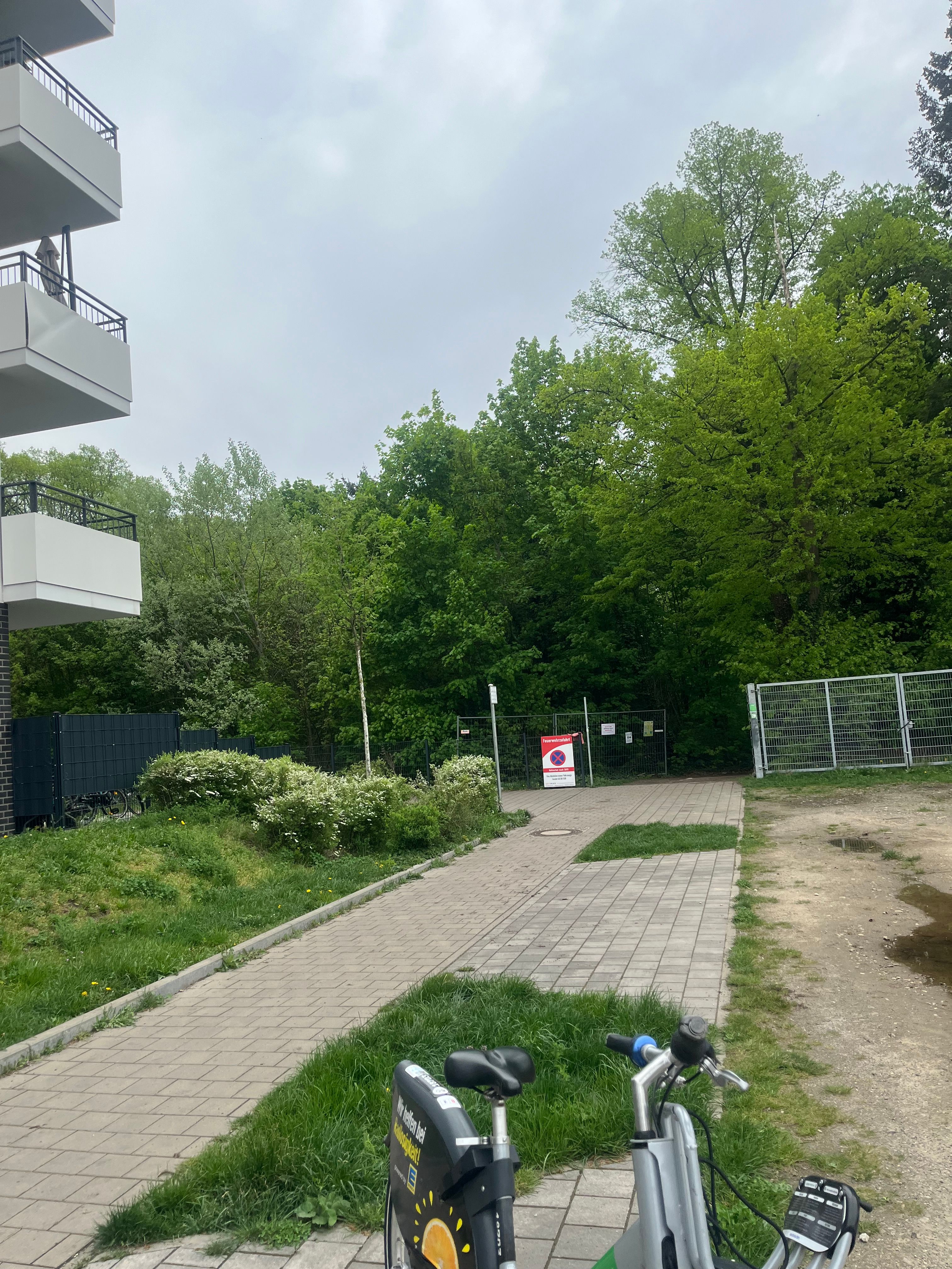 image-18