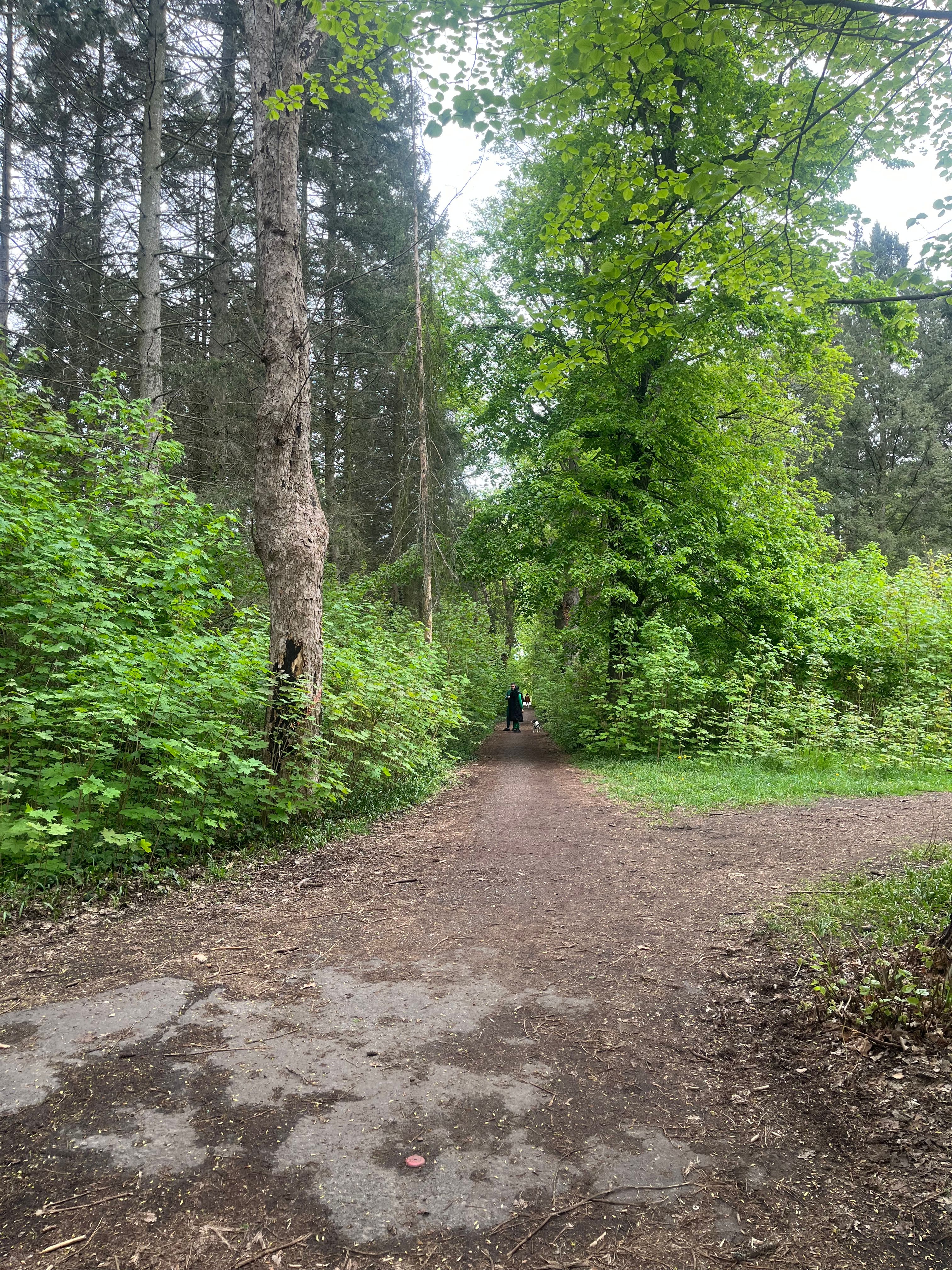 image-16