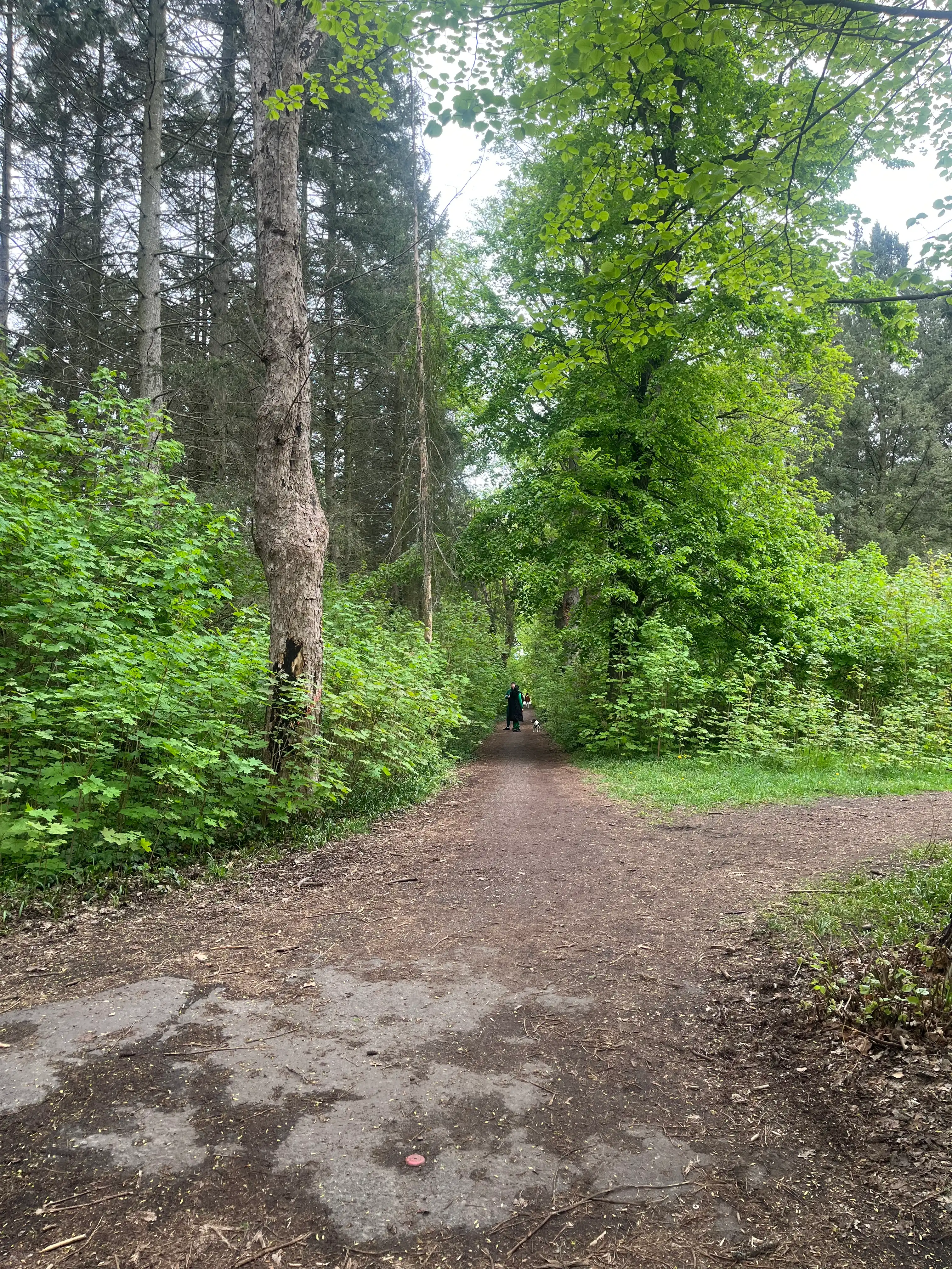 image-16