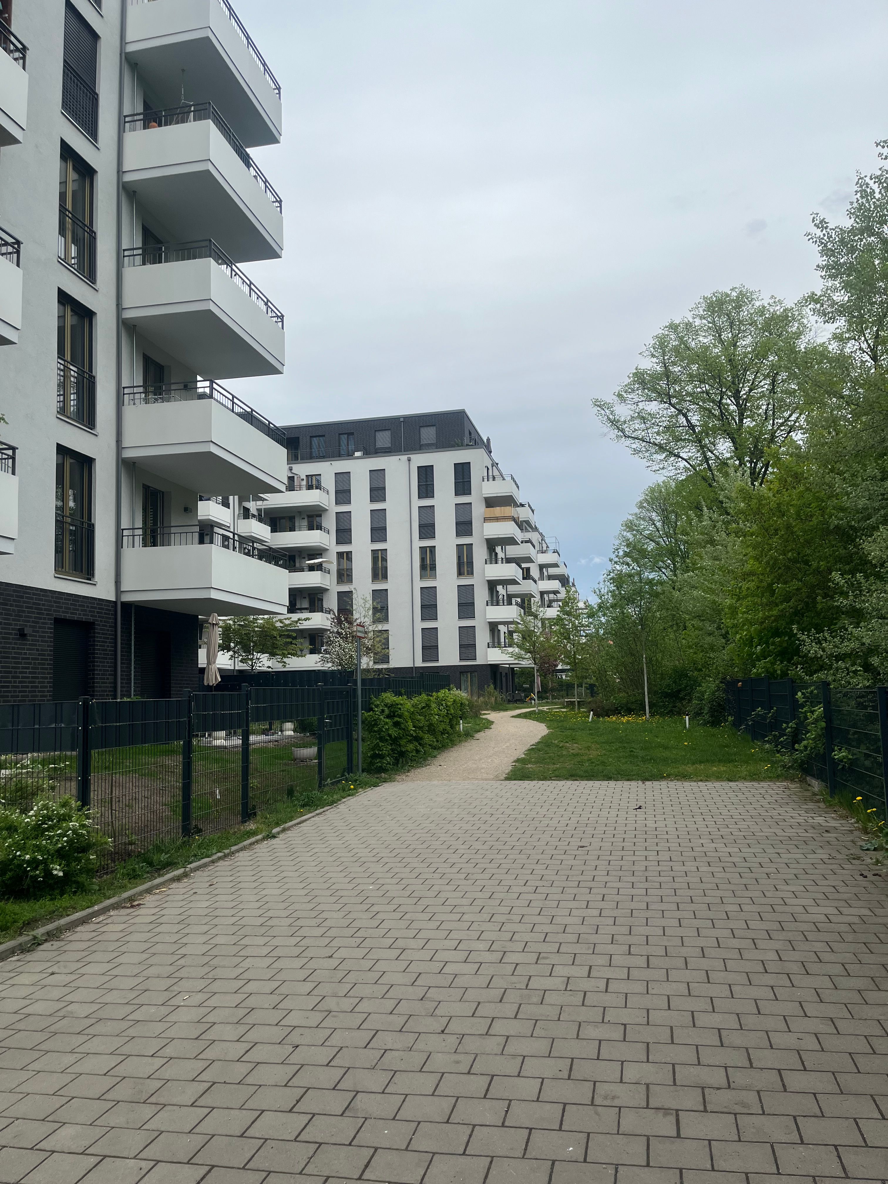 image-19