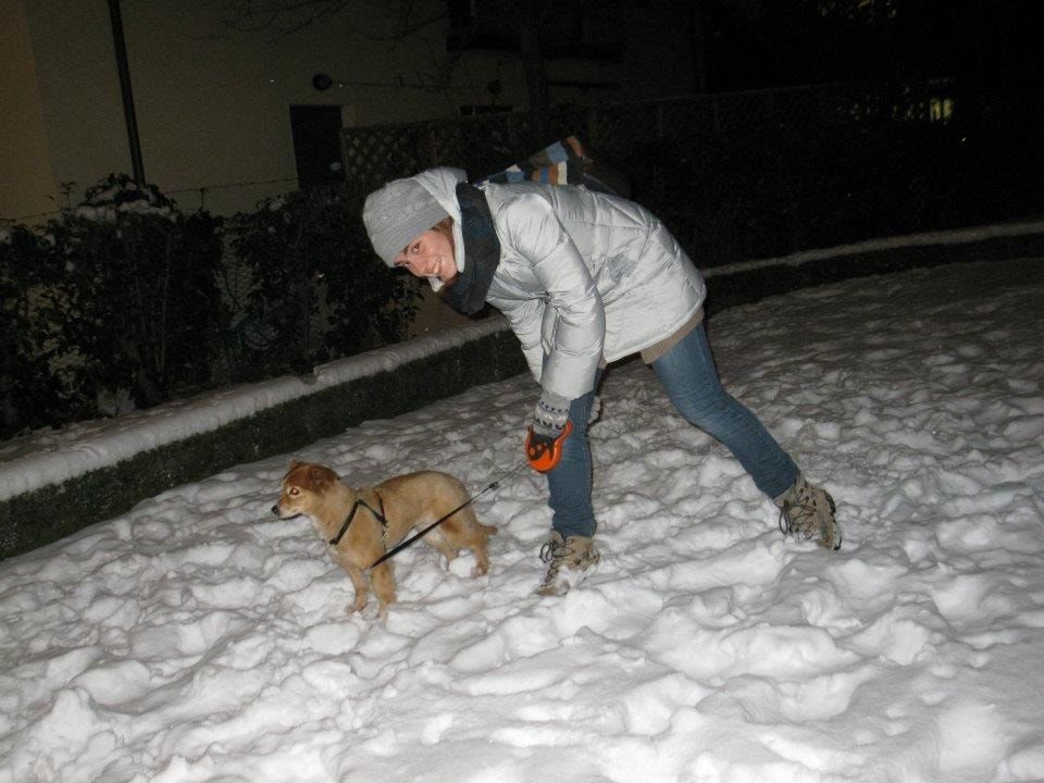 image-3