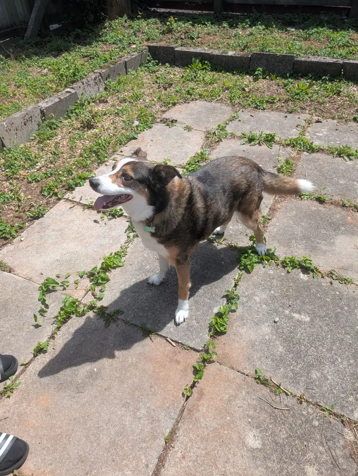 image-25