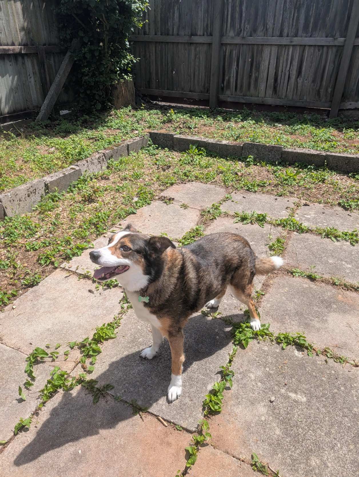 image-20