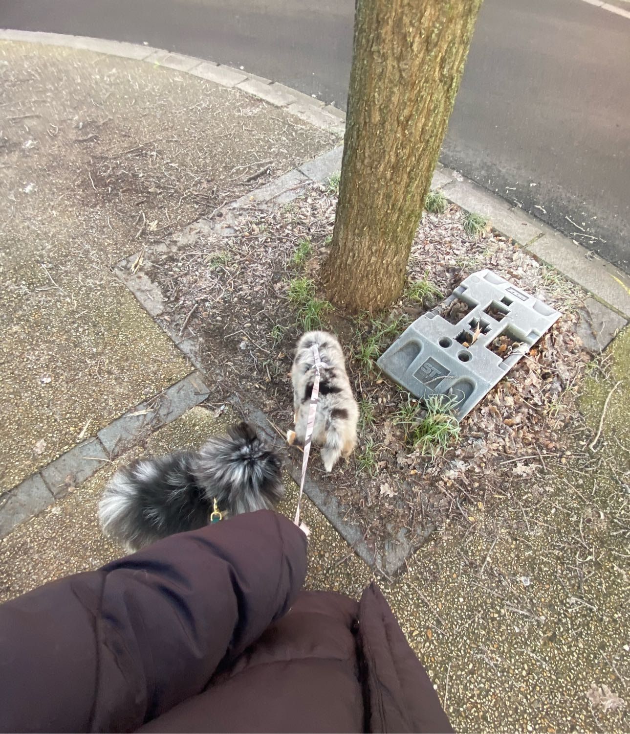 image-9