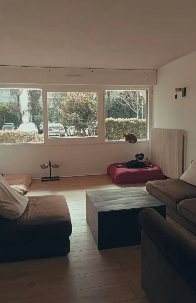 image-17