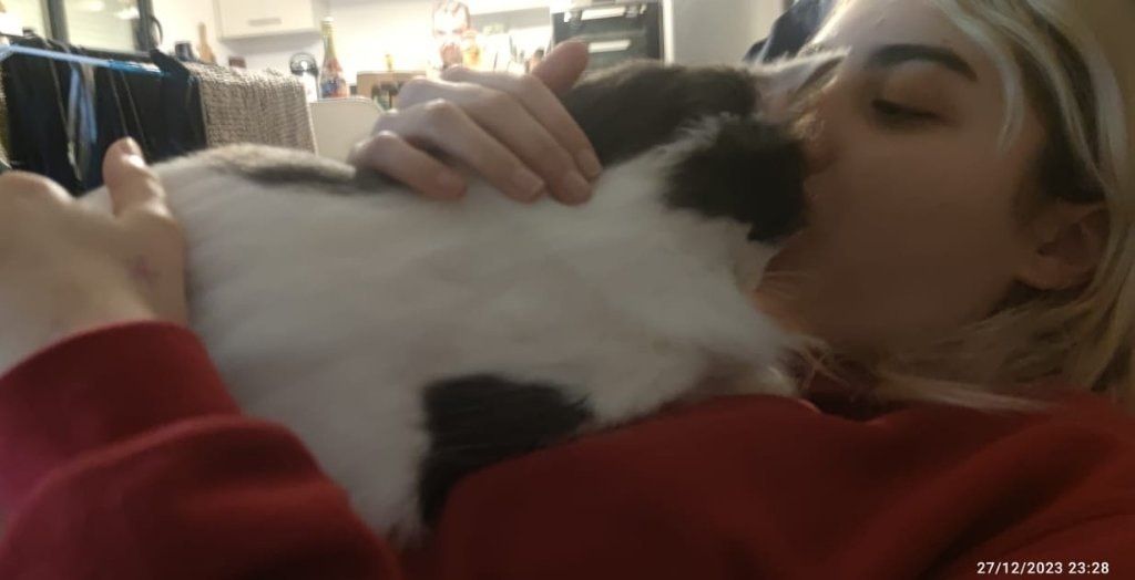 image-6