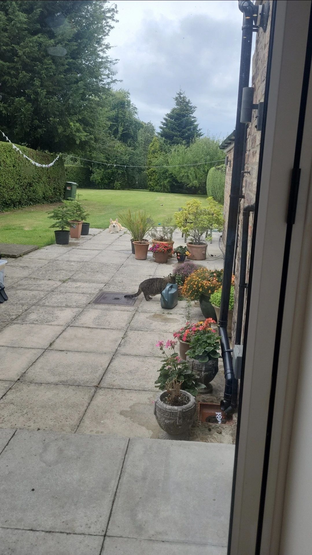image-18