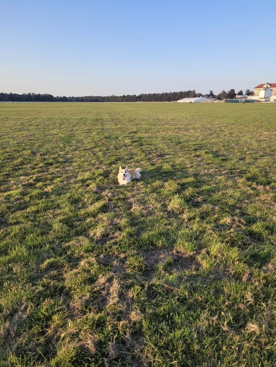 image-19
