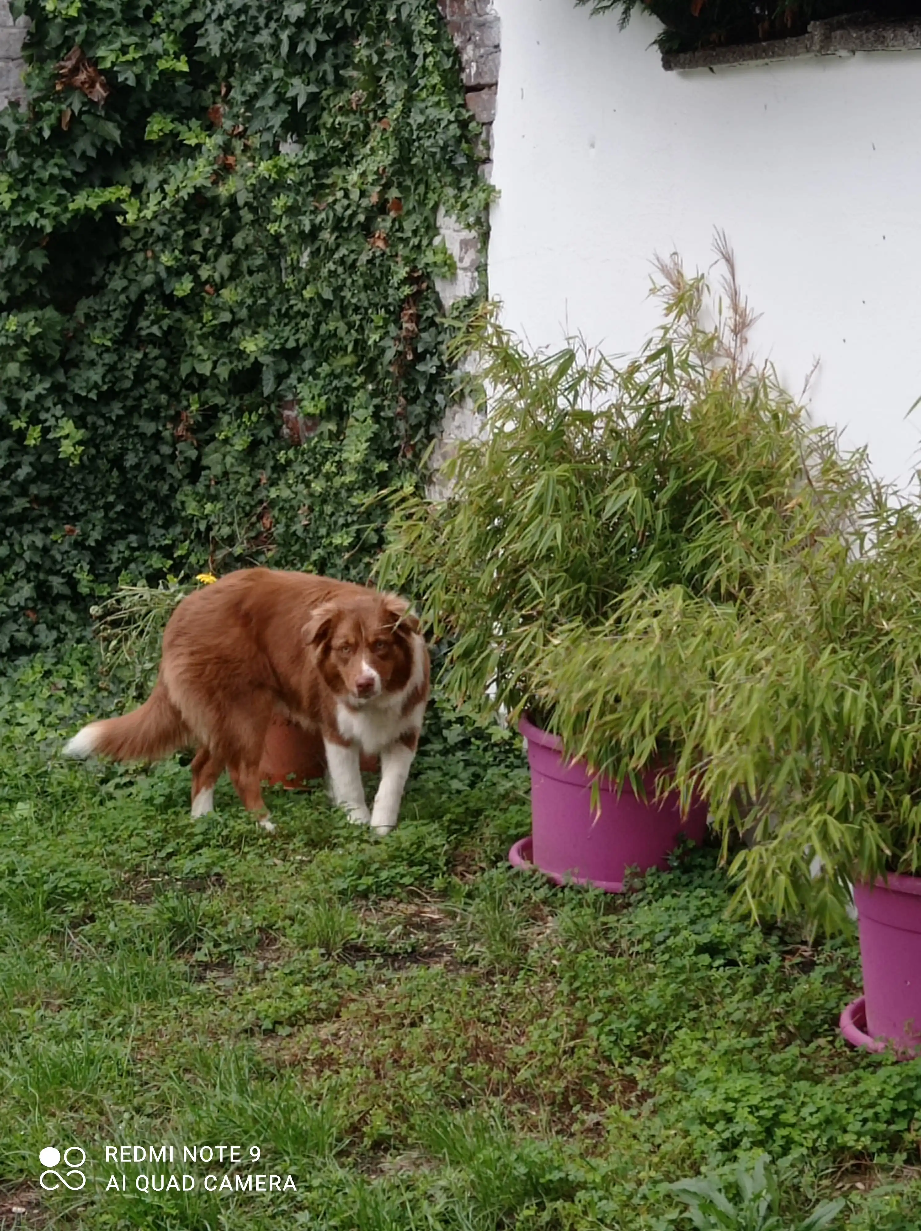 image-15