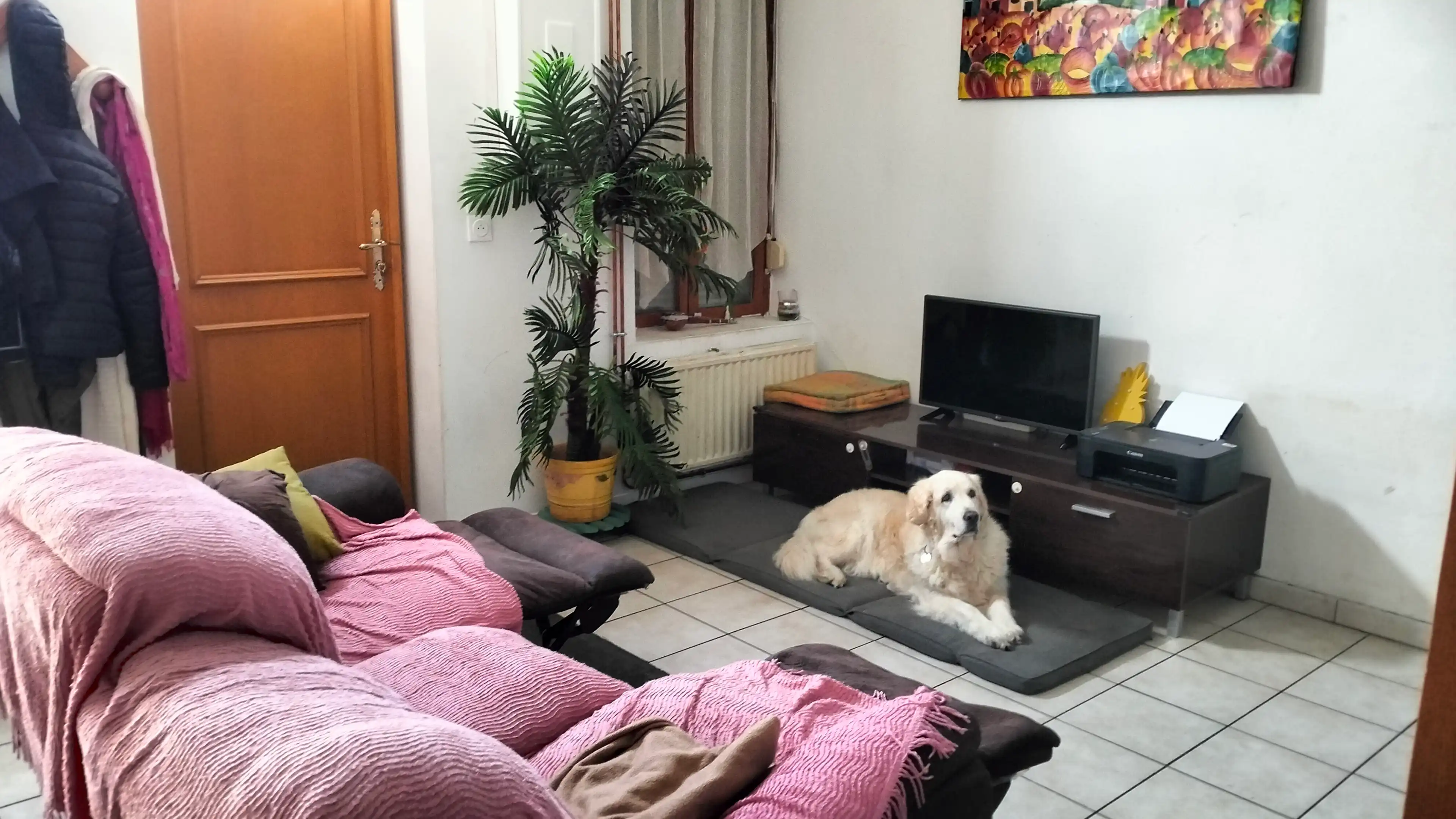 image-17