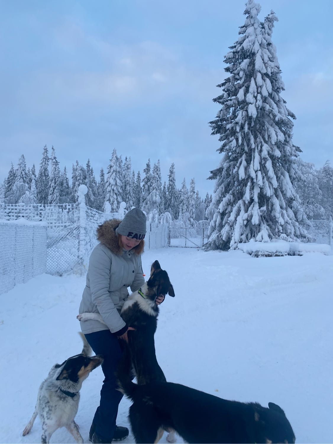 image-7