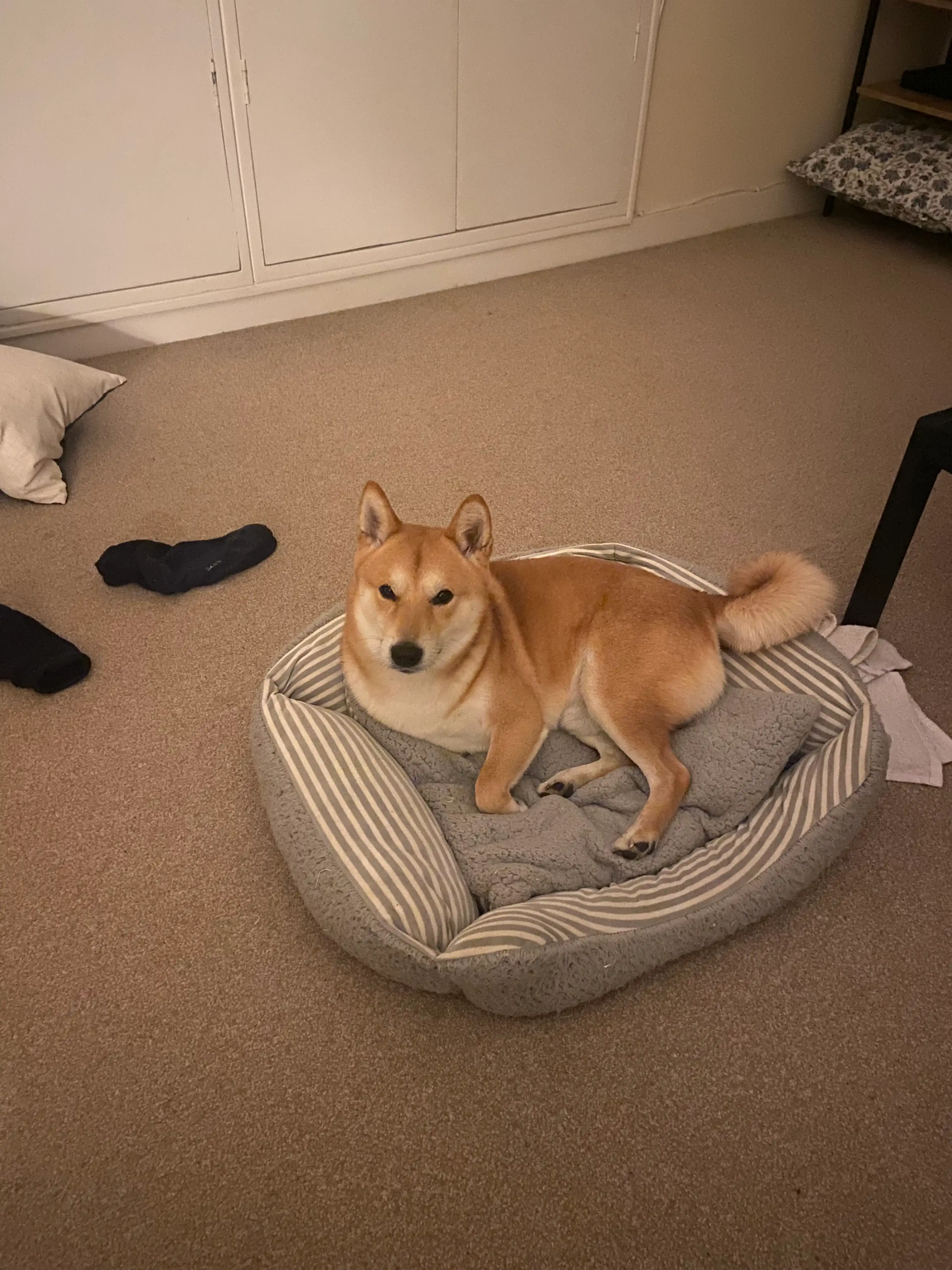 image-18