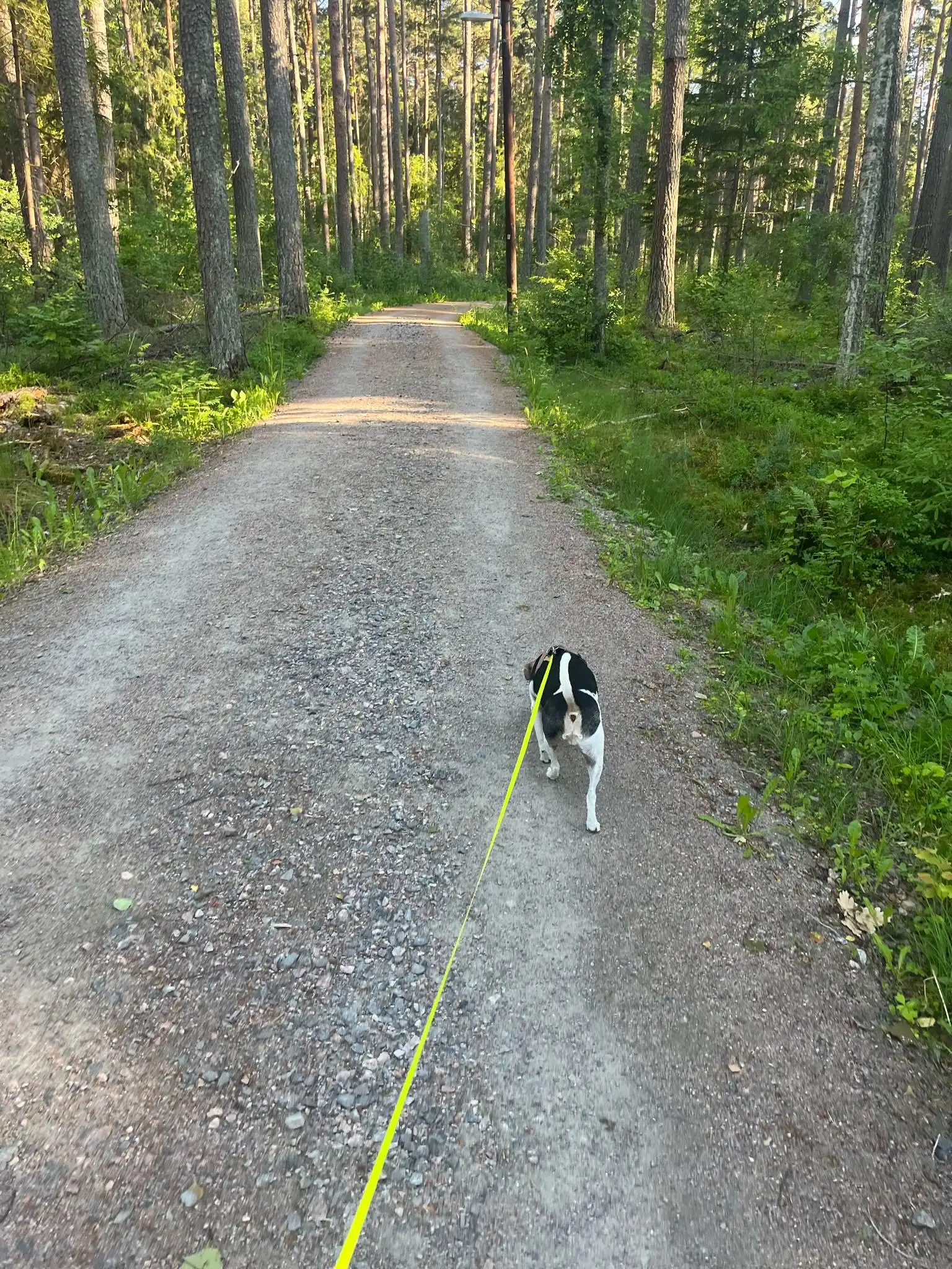 image-7