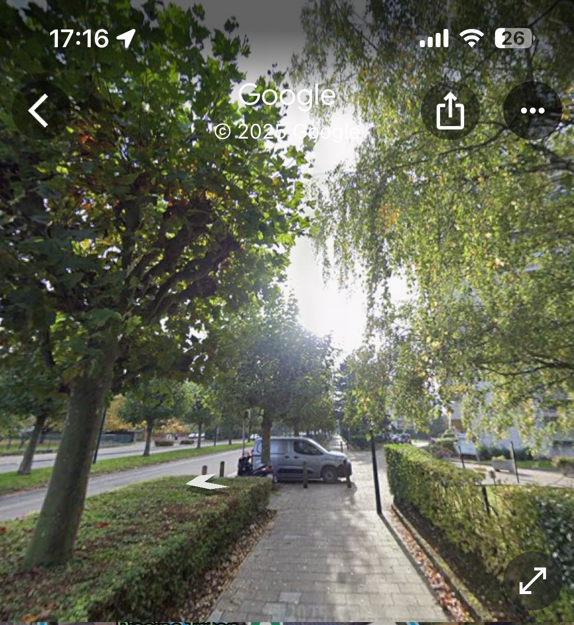 image-19