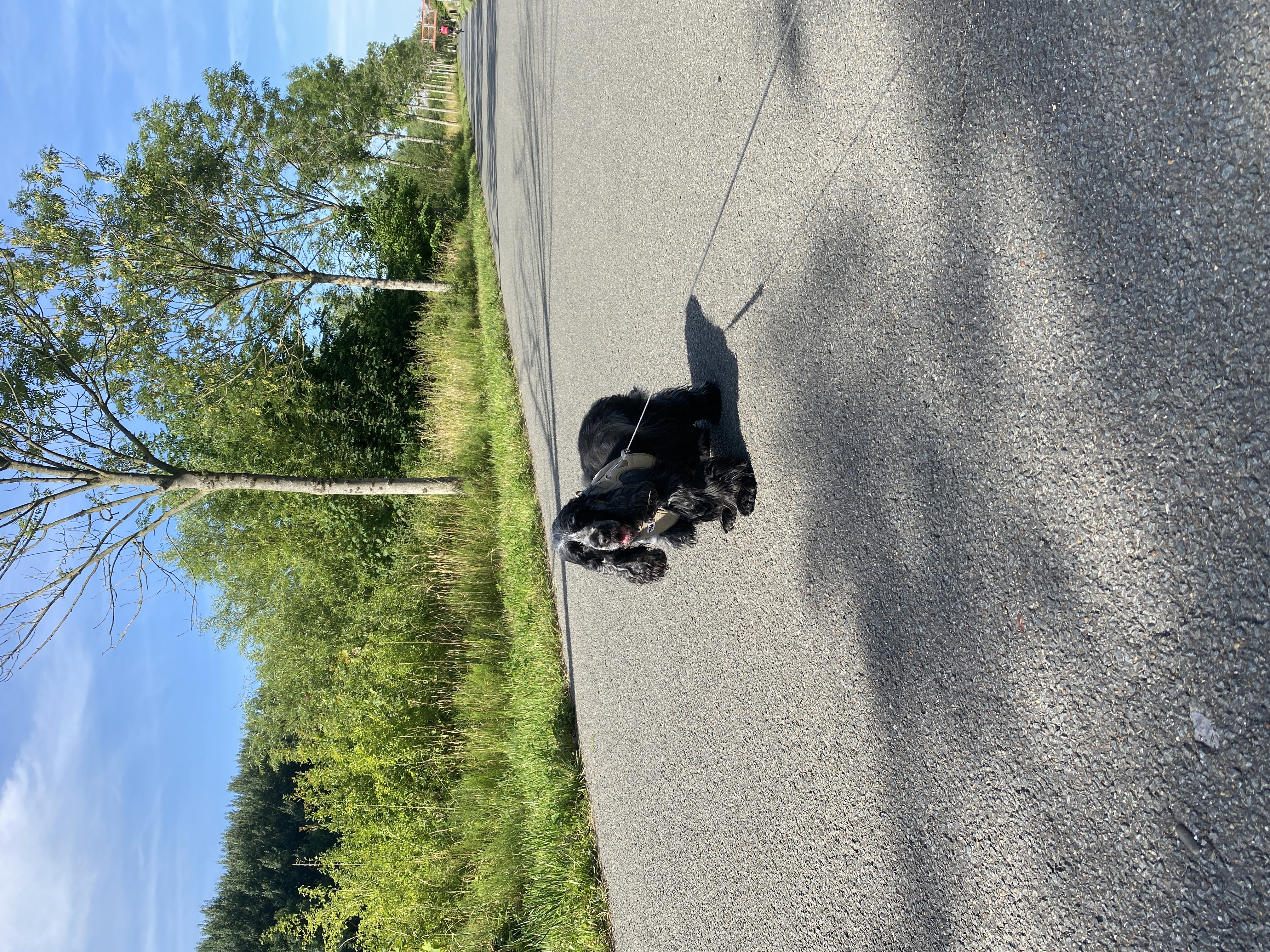 image-29