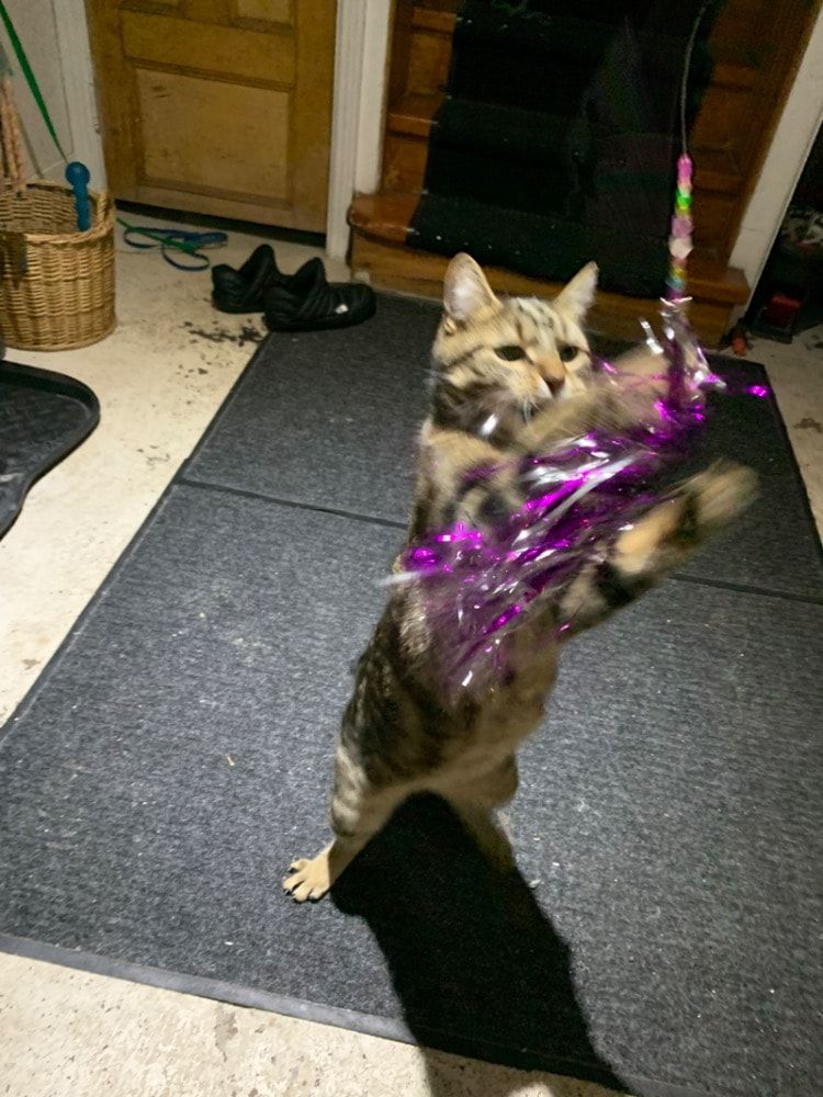 image-27