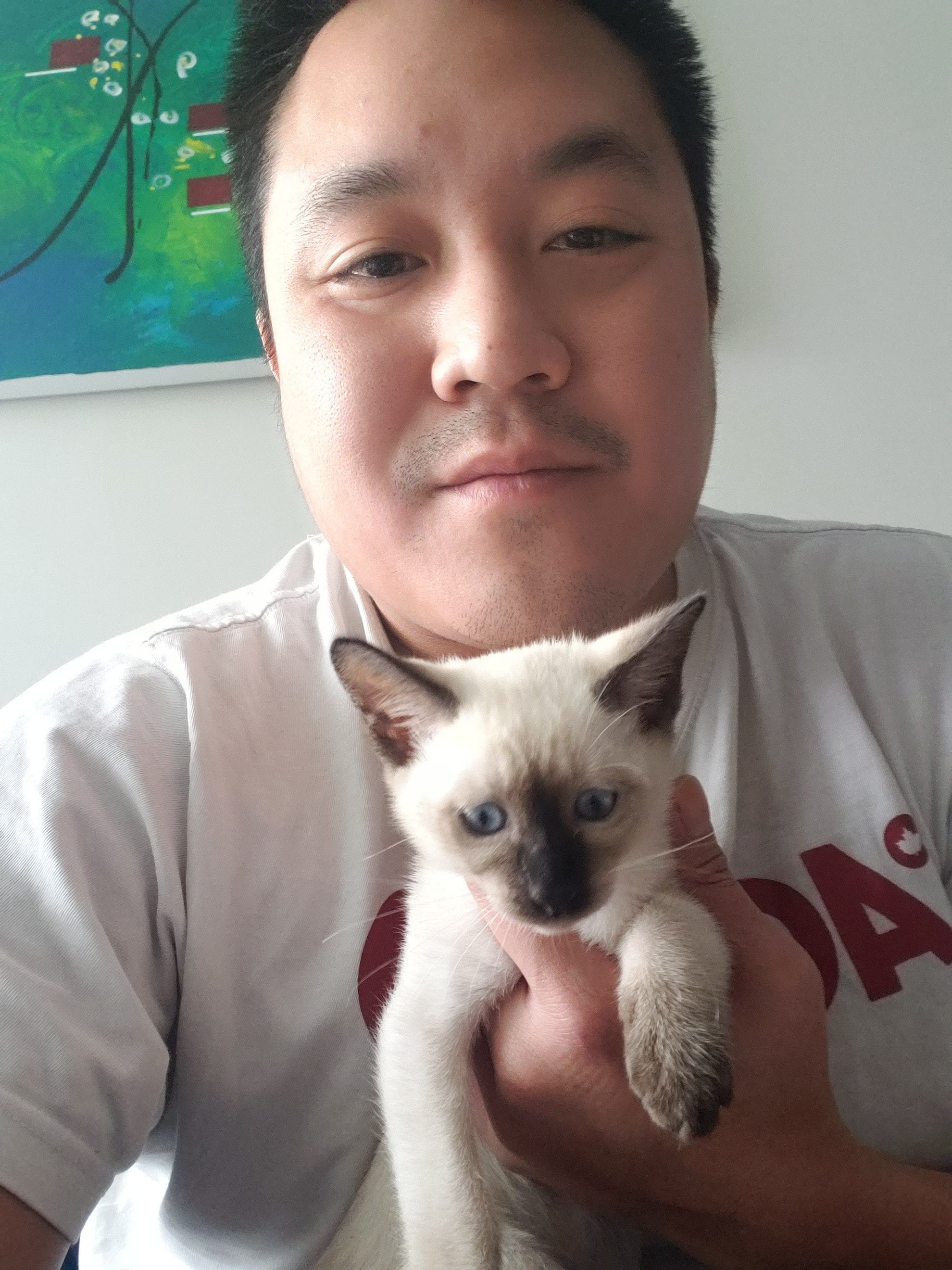image-4