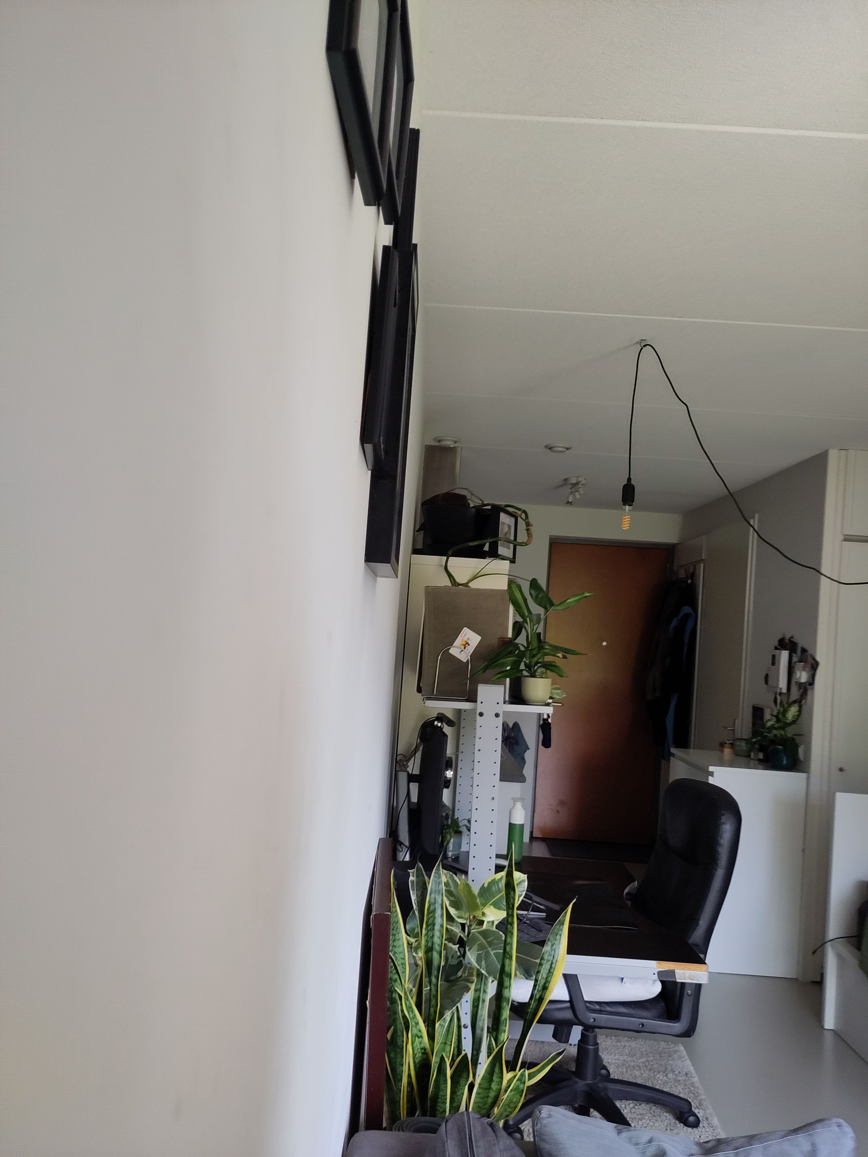 image-18