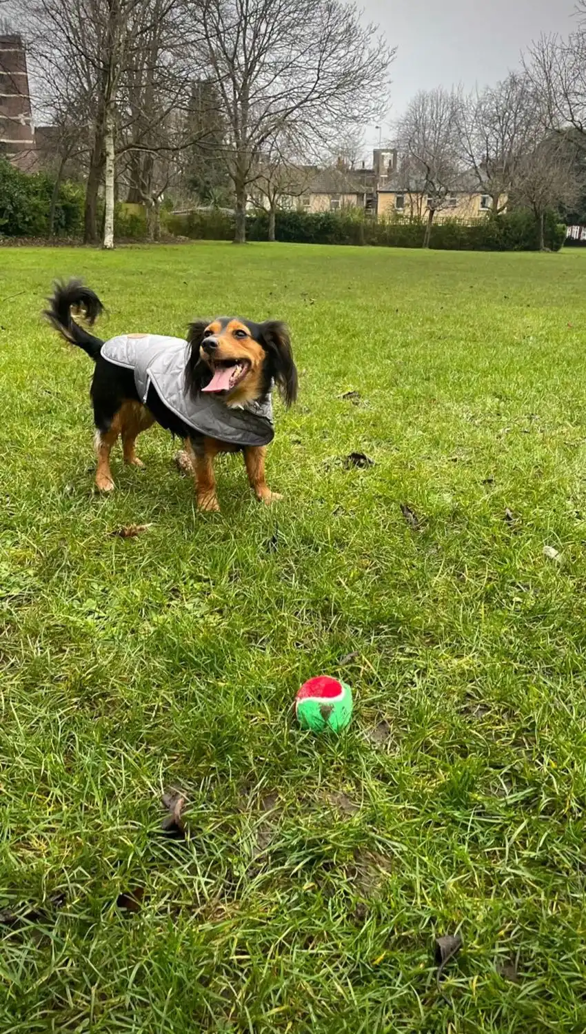 image-17