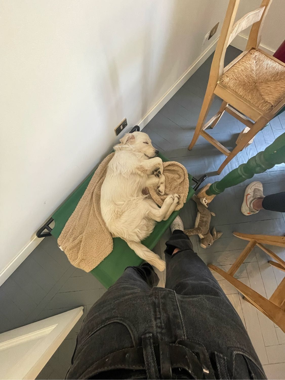 image-4