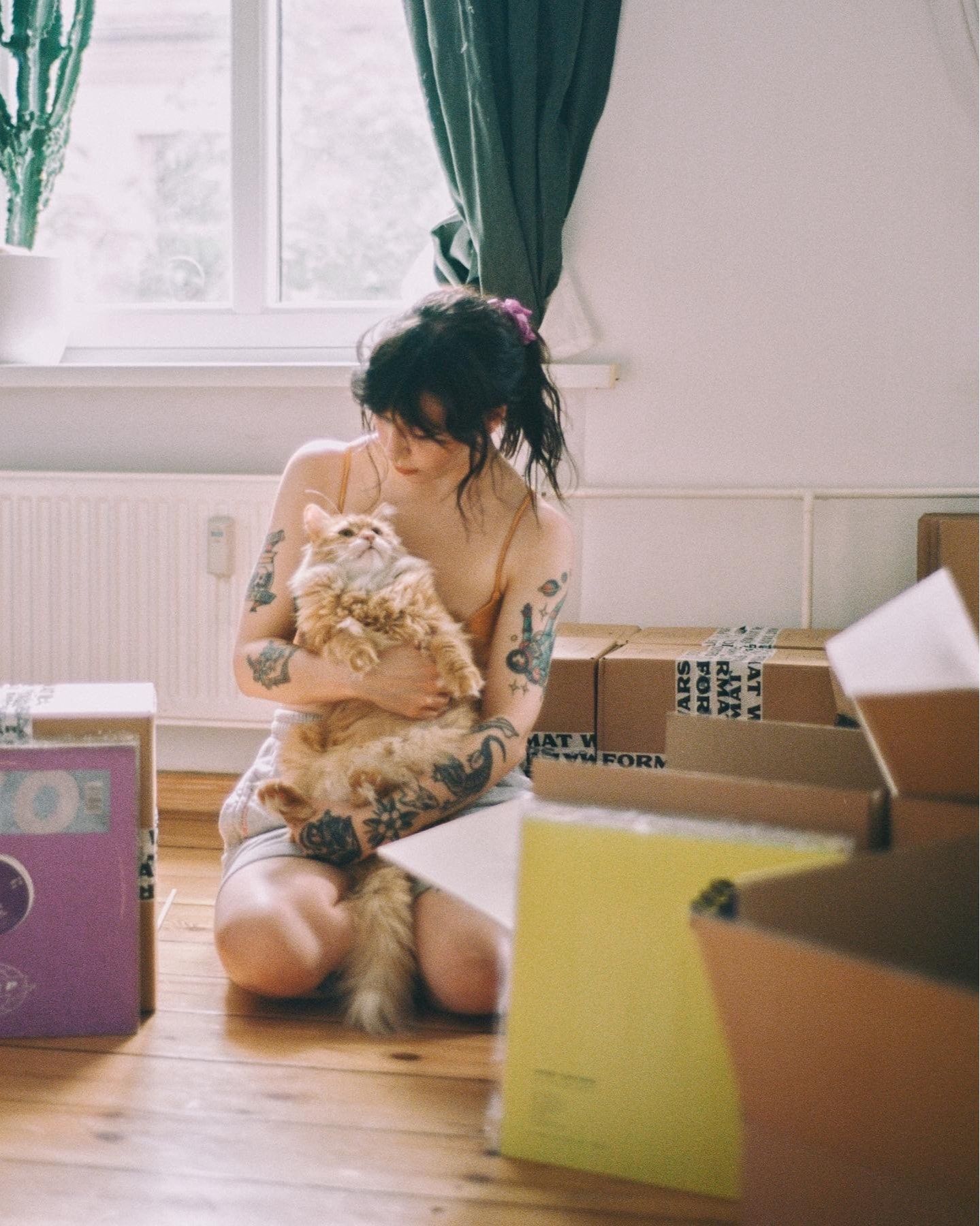 image-8