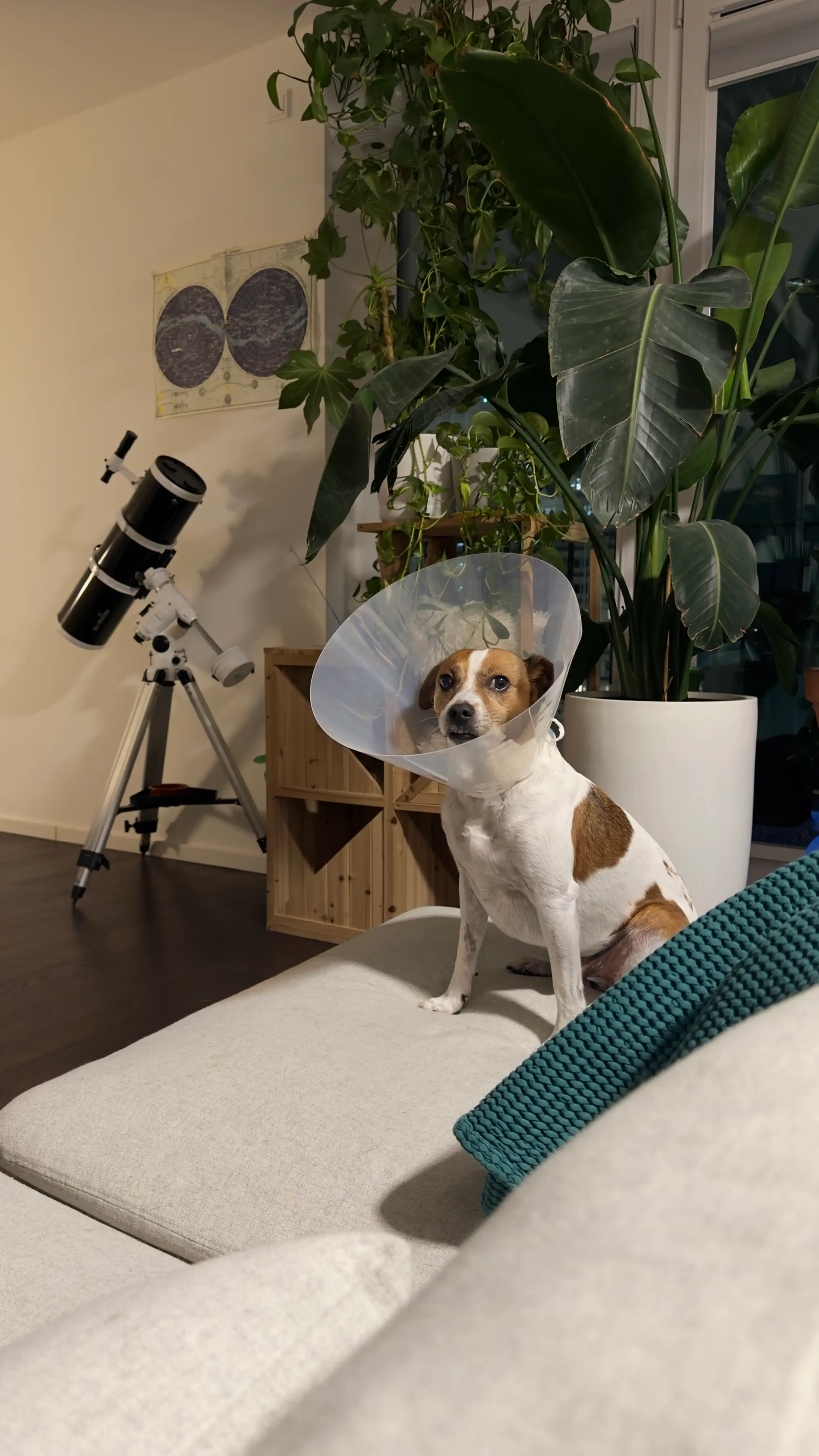 image-16