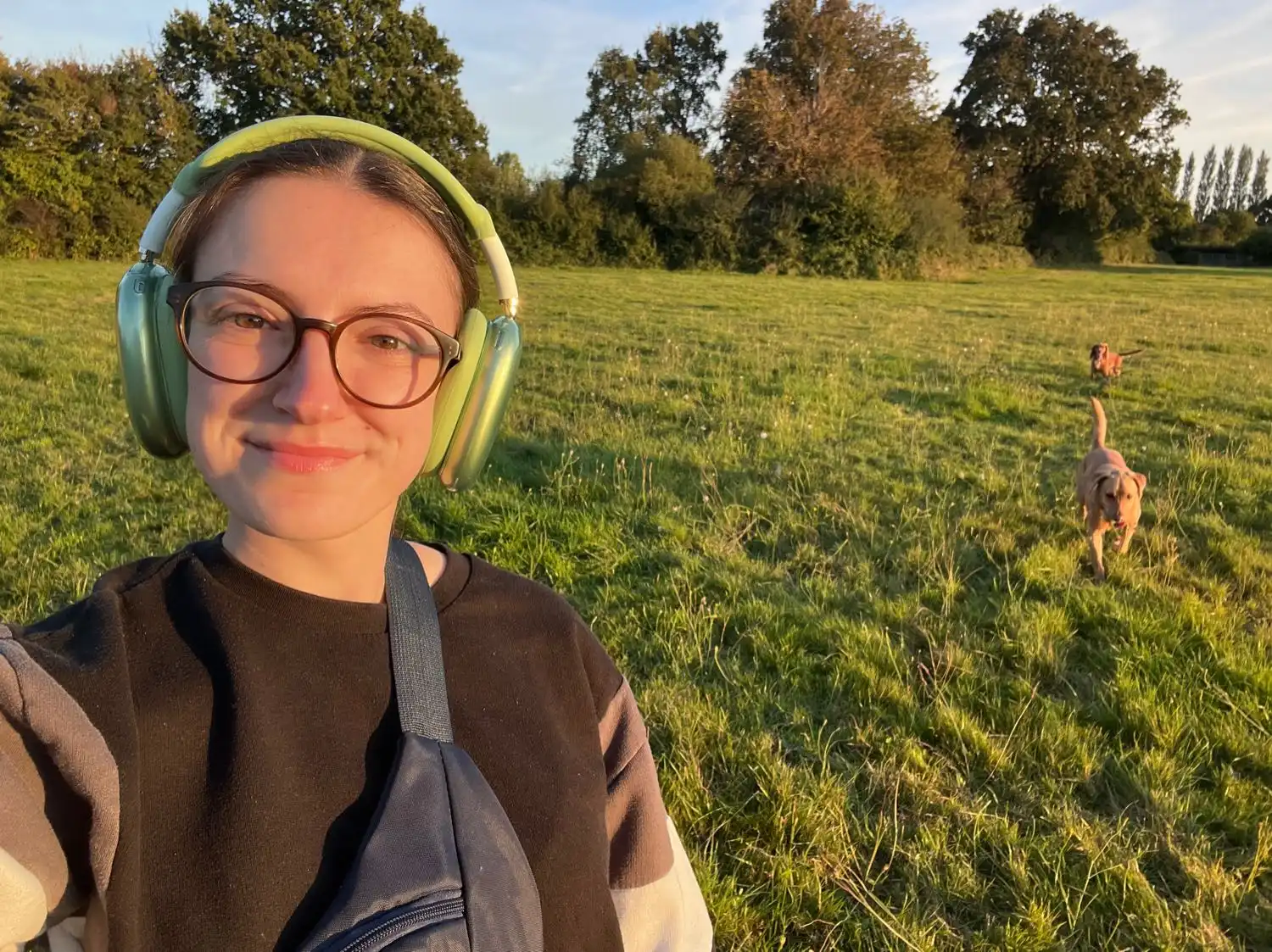 image-6