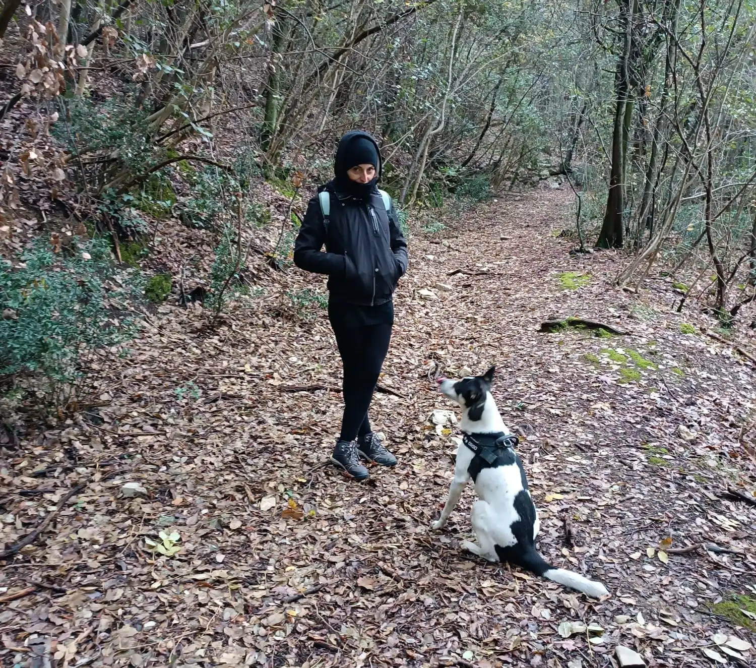 image-12