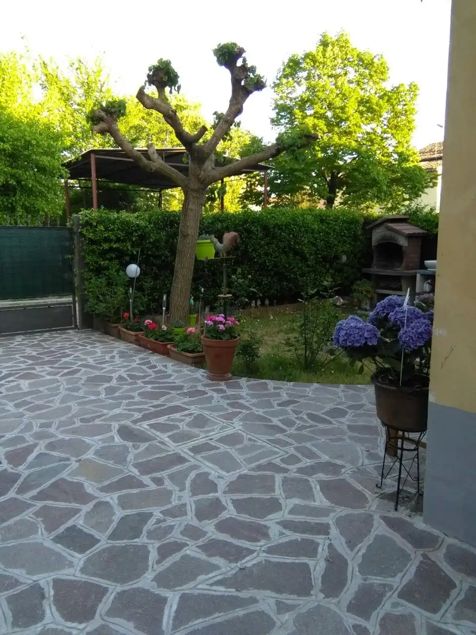 image-29